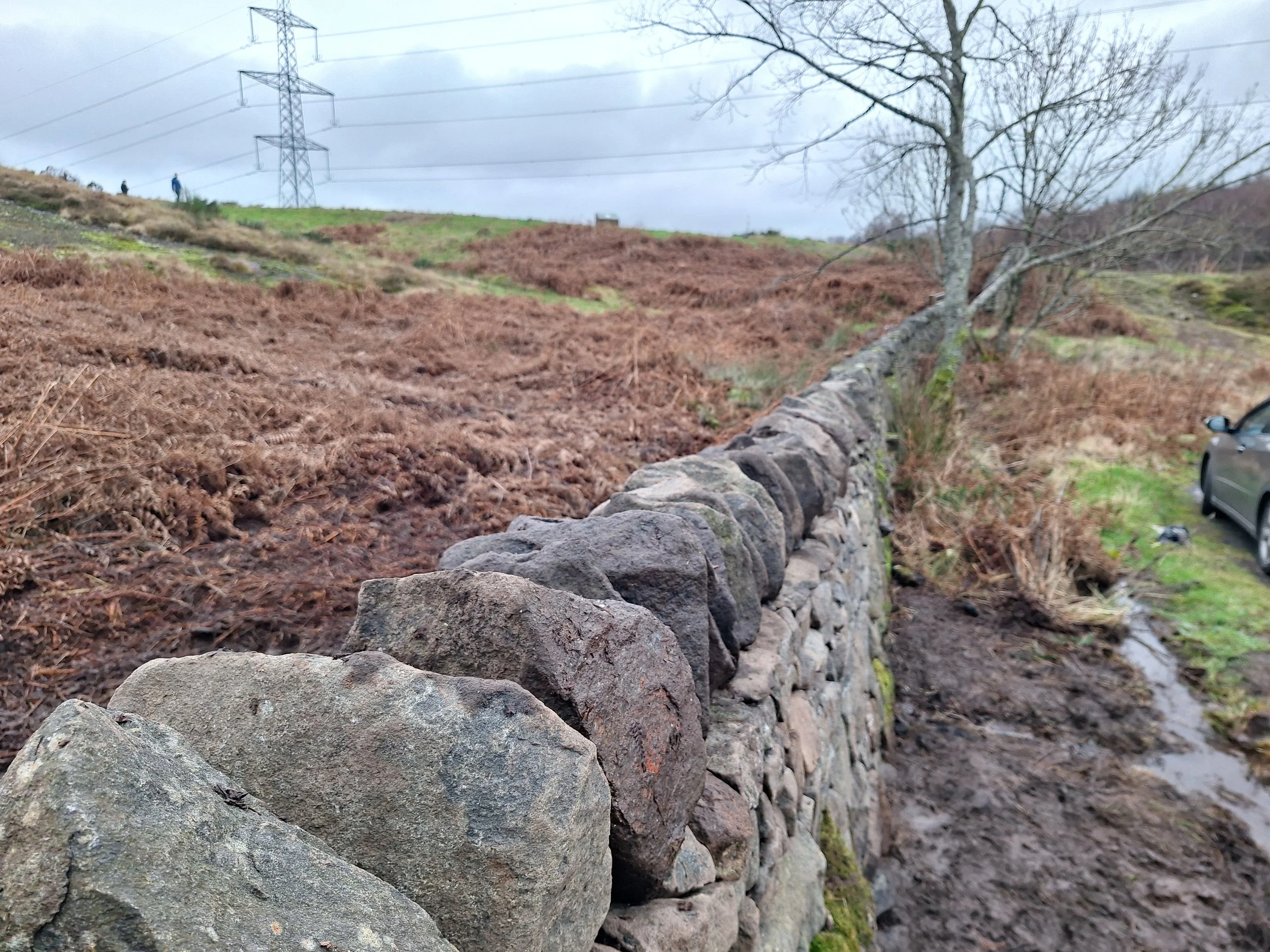 drystone-wall-repair-rebuild-stirling-3-copes.jpg