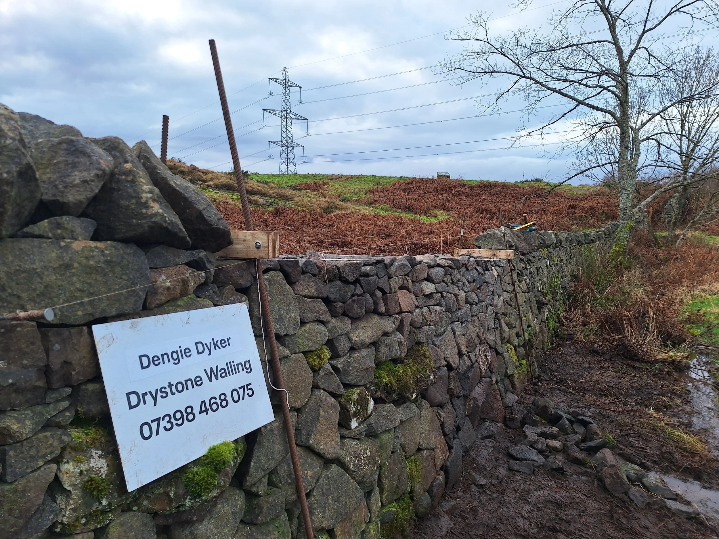 drystone-wall-repair-rebuild-stirling-3-level.jpg