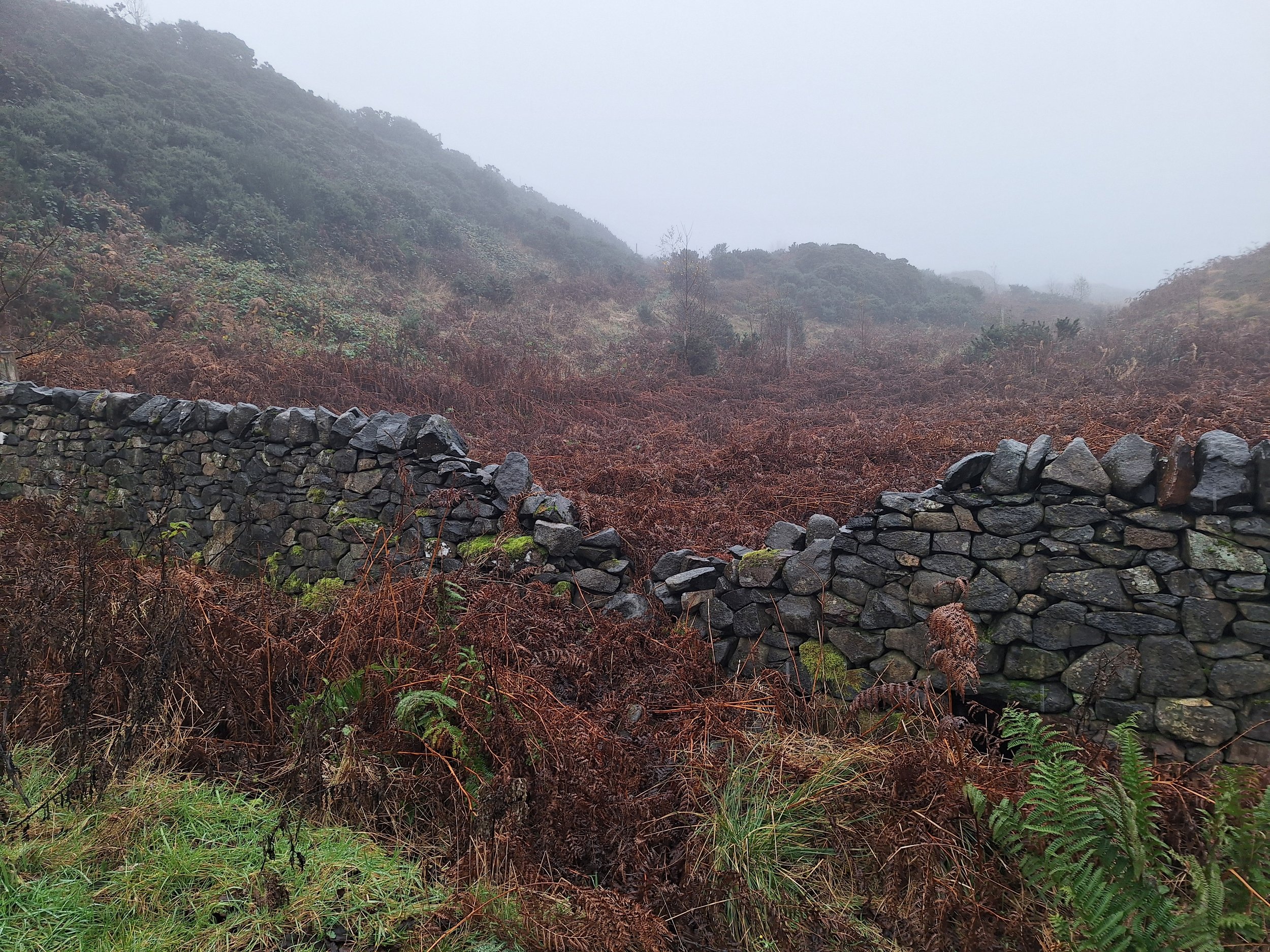 drystone-wall-repair-rebuild-stirling-3-before.jpg