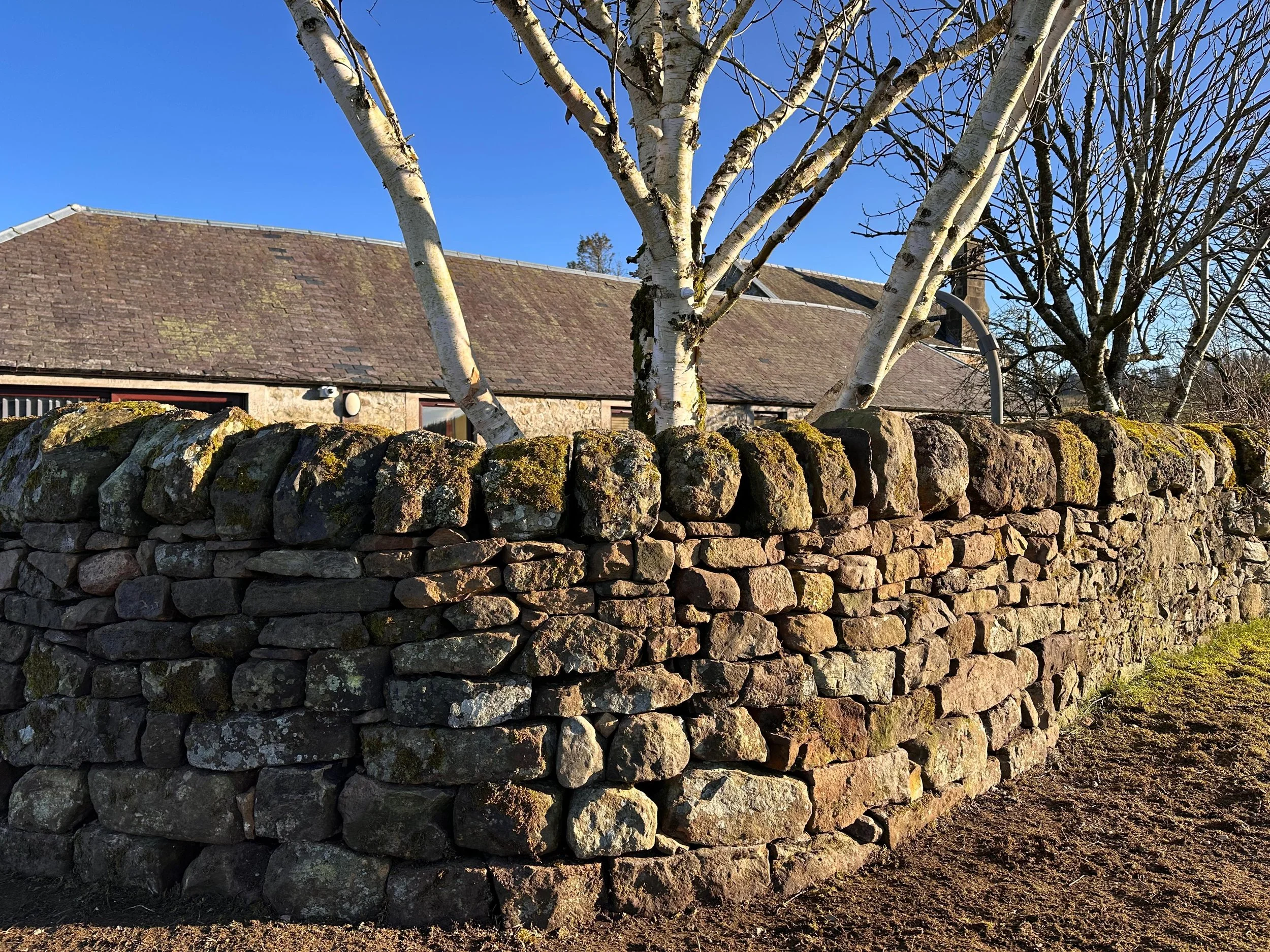 drystone-wall-repair-rebuild-west-calder-lothians-after2.jpg