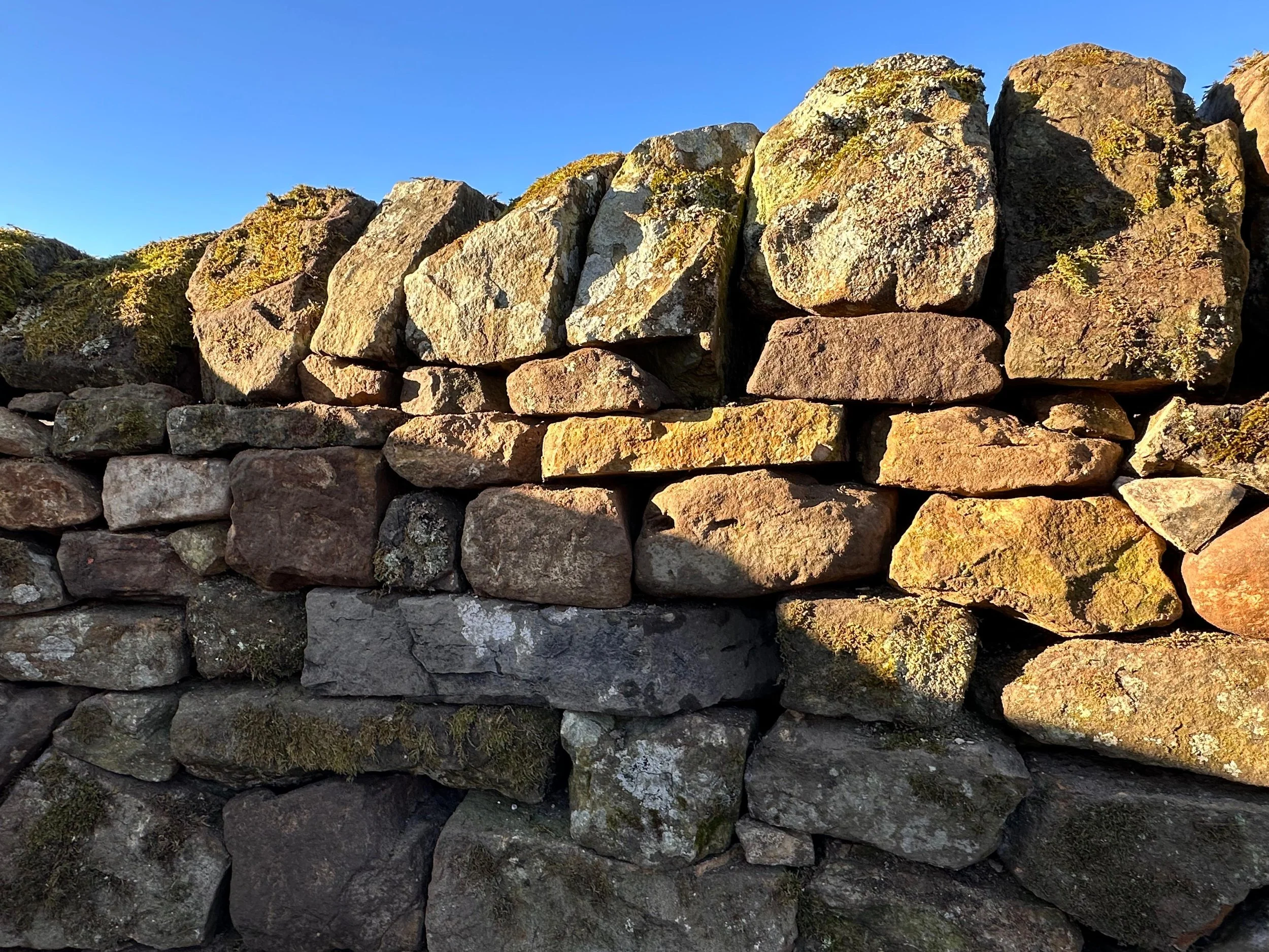 drystone-wall-repair-rebuild-west-calder-lothians-panel.jpg