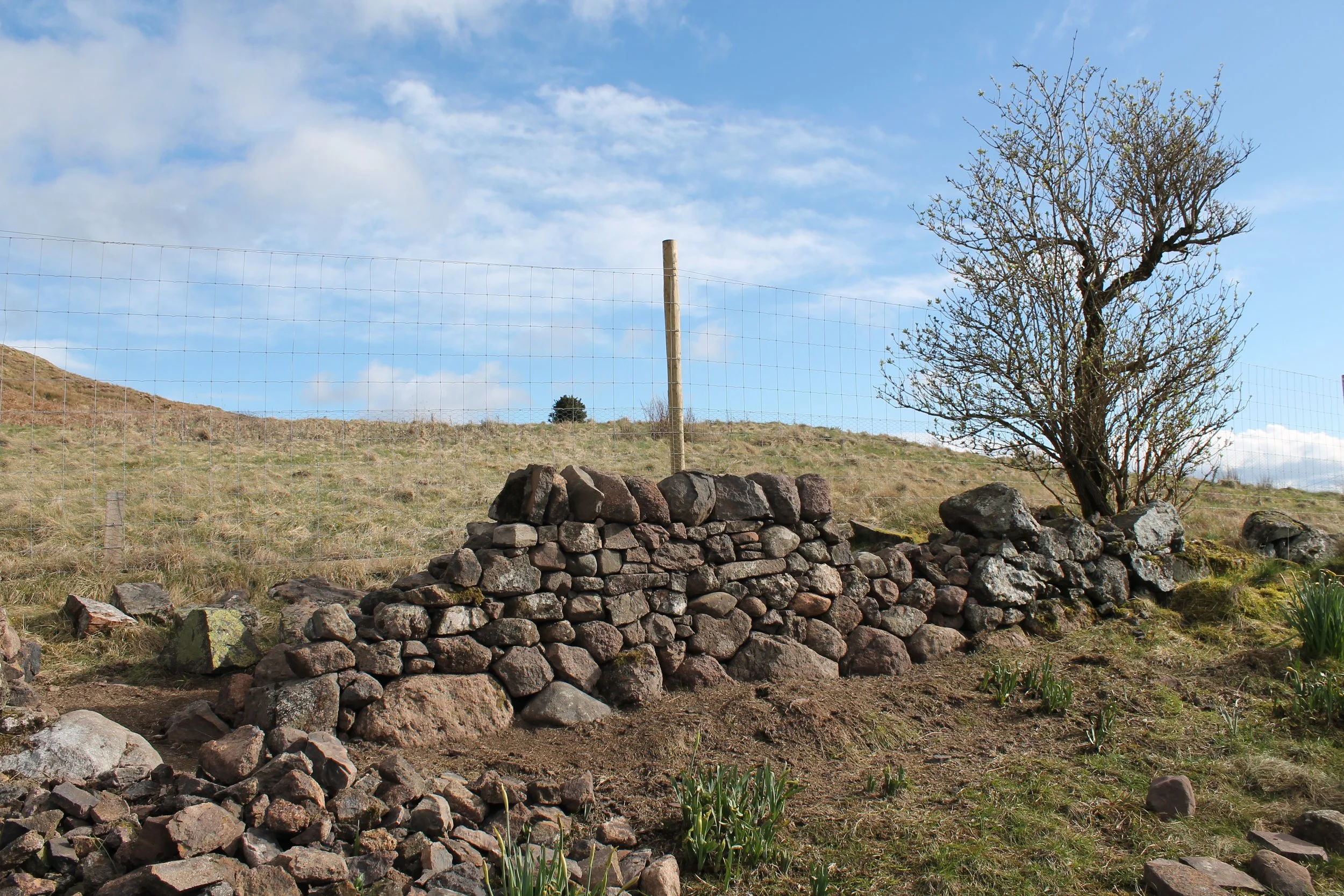 drystone-wall-repair-rebuild-perthshire-how-to-build-after.JPG