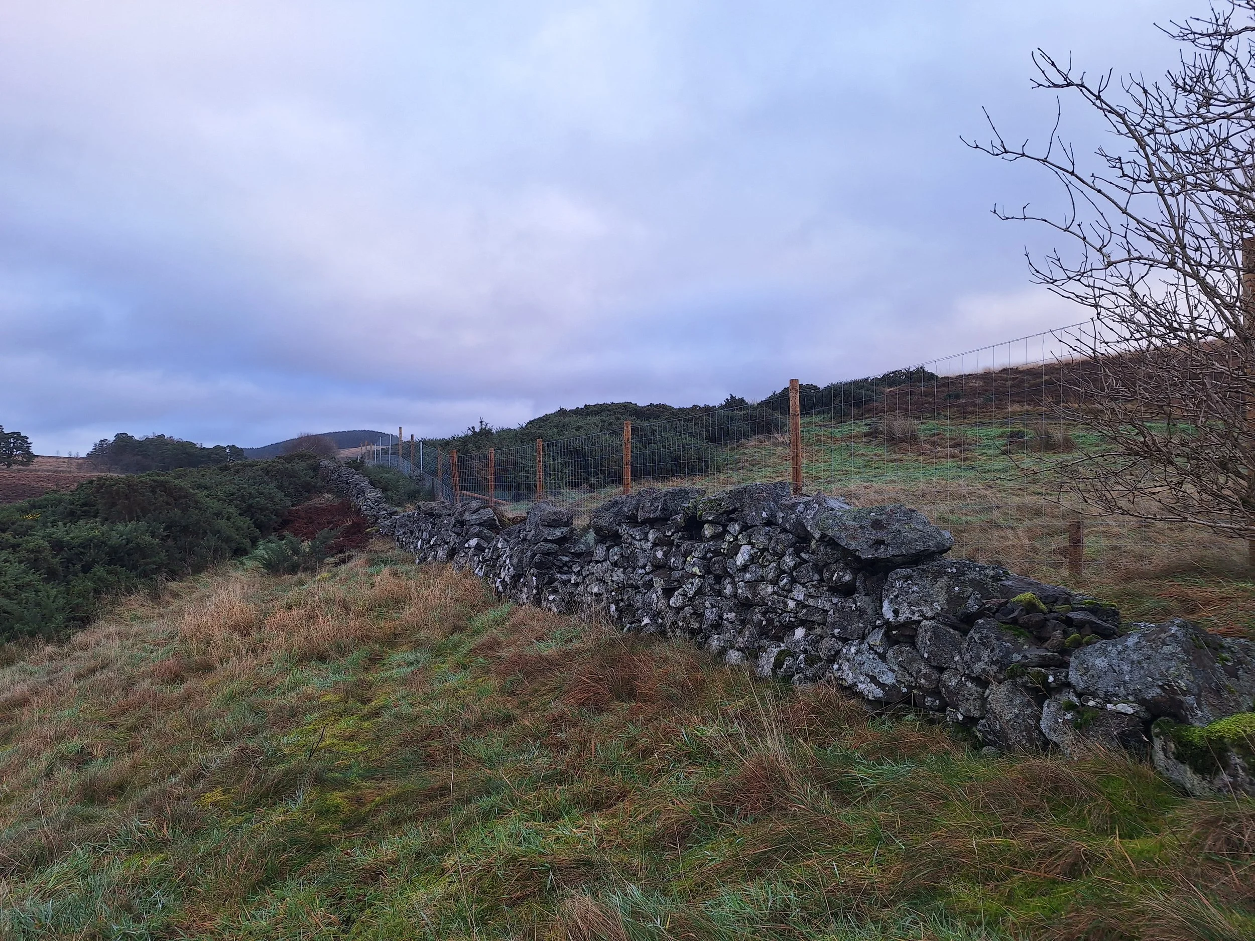 Drystone-wall-rebuild-repair-perthshire-before.jpg
