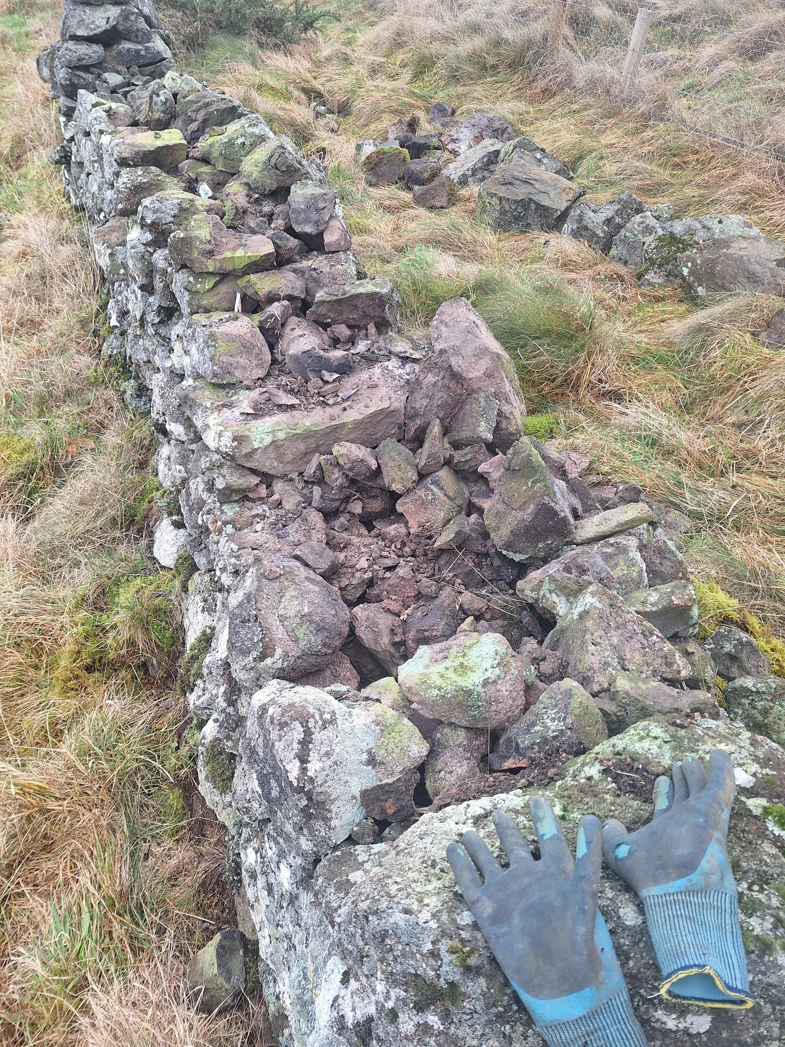 20260201_105253 Drystone-wall-rebuild-repair-perthshire.jpg