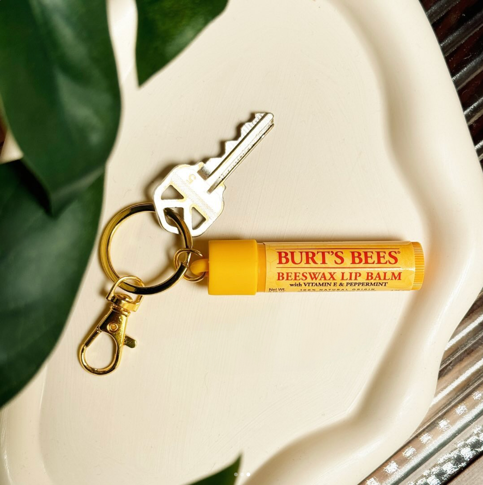 Screenshot 2024-10-24 at 1.54.32 PM.png