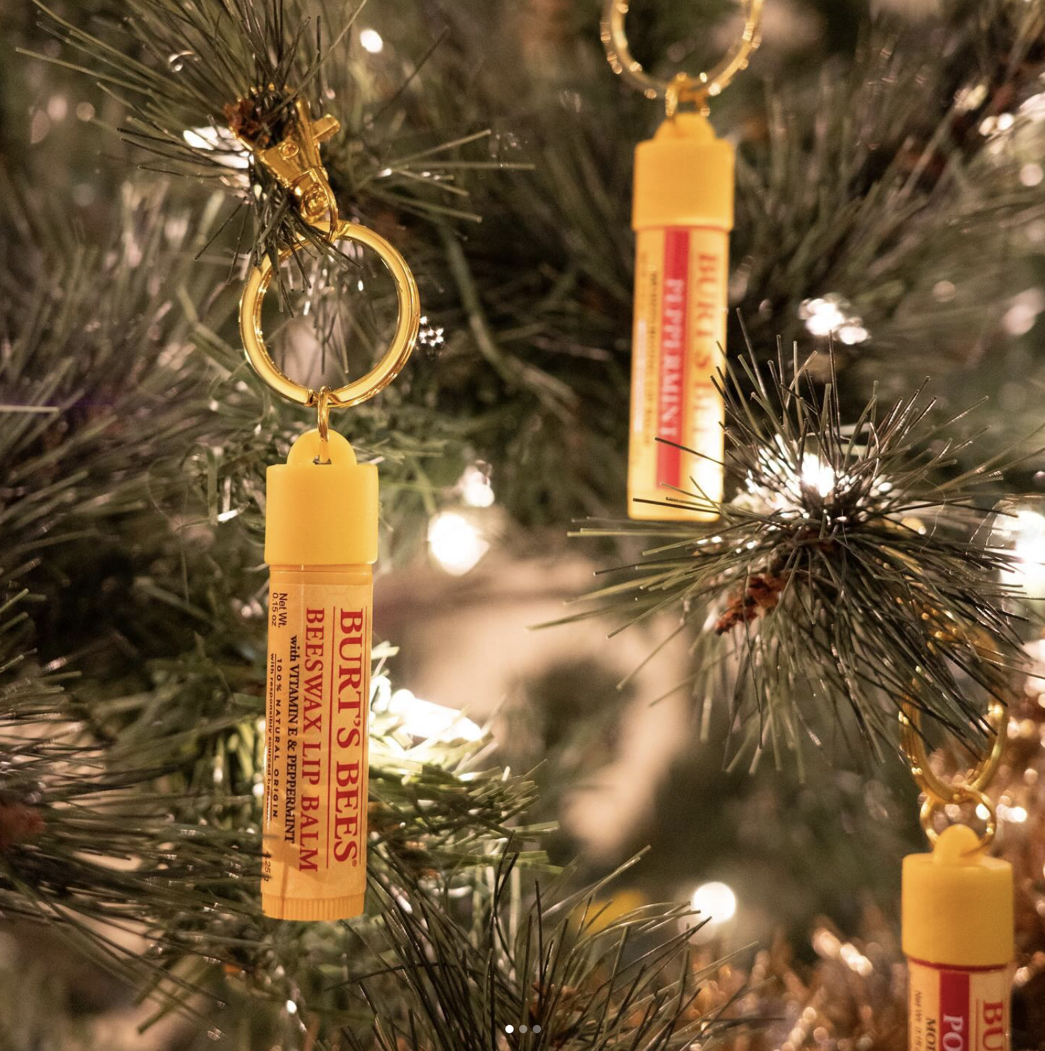 Screenshot 2024-12-18 at 7.51.14 AM.png