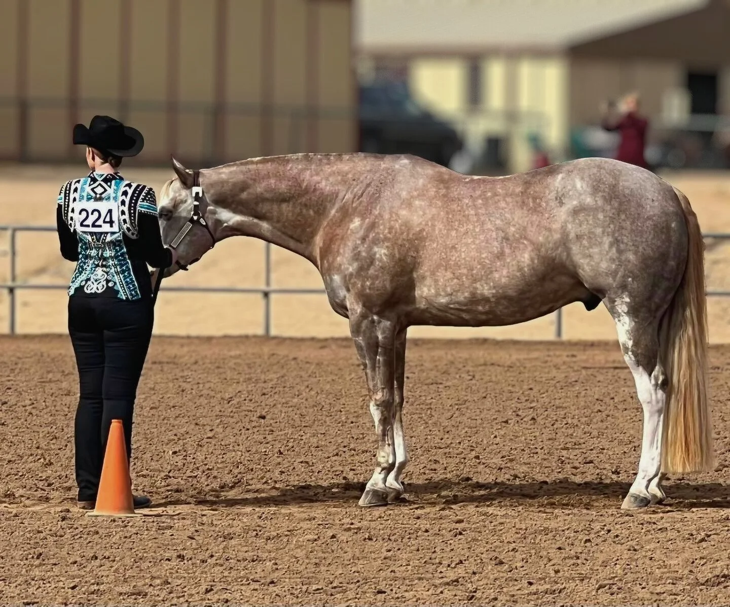 Showmanship  eShow Division Entry