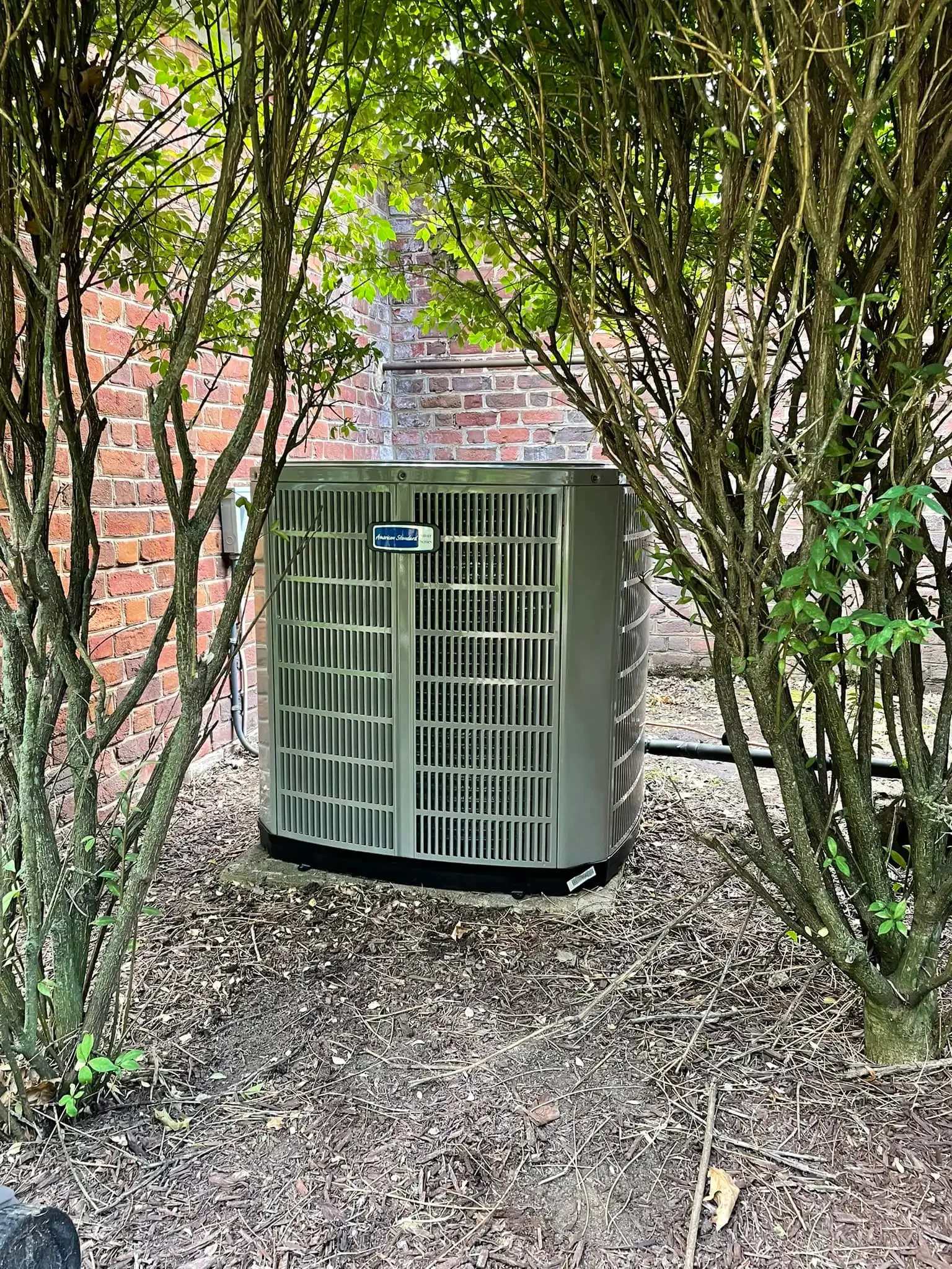 Central air conditioning unit installed outdoors next to a brick wall, partially obscured by bushes.