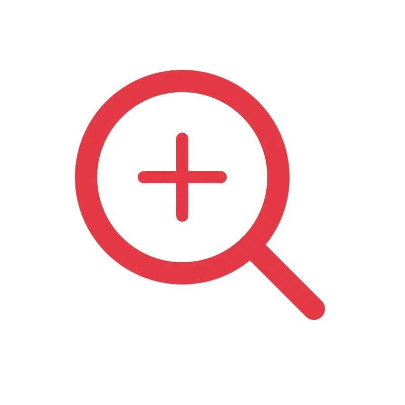 Red magnifying glass icon with a plus sign inside it
