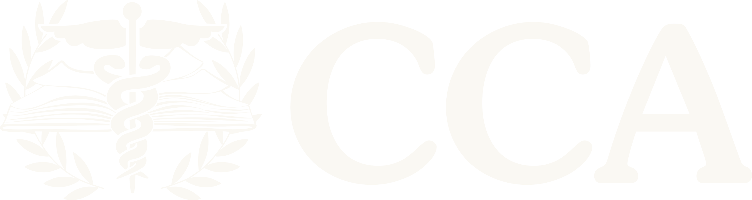 Confident Care Academy logo, a critical care nursing education and CRNA preparation resource.