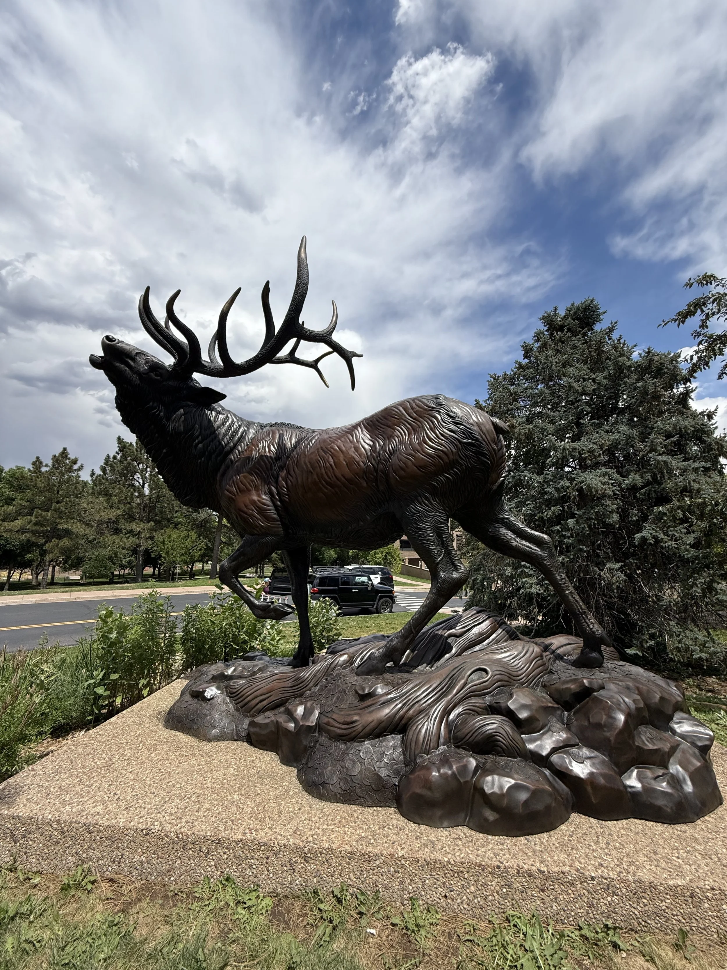 After treatment photo of Challenge by Gerald Balcair, City of Westminster, Colorado