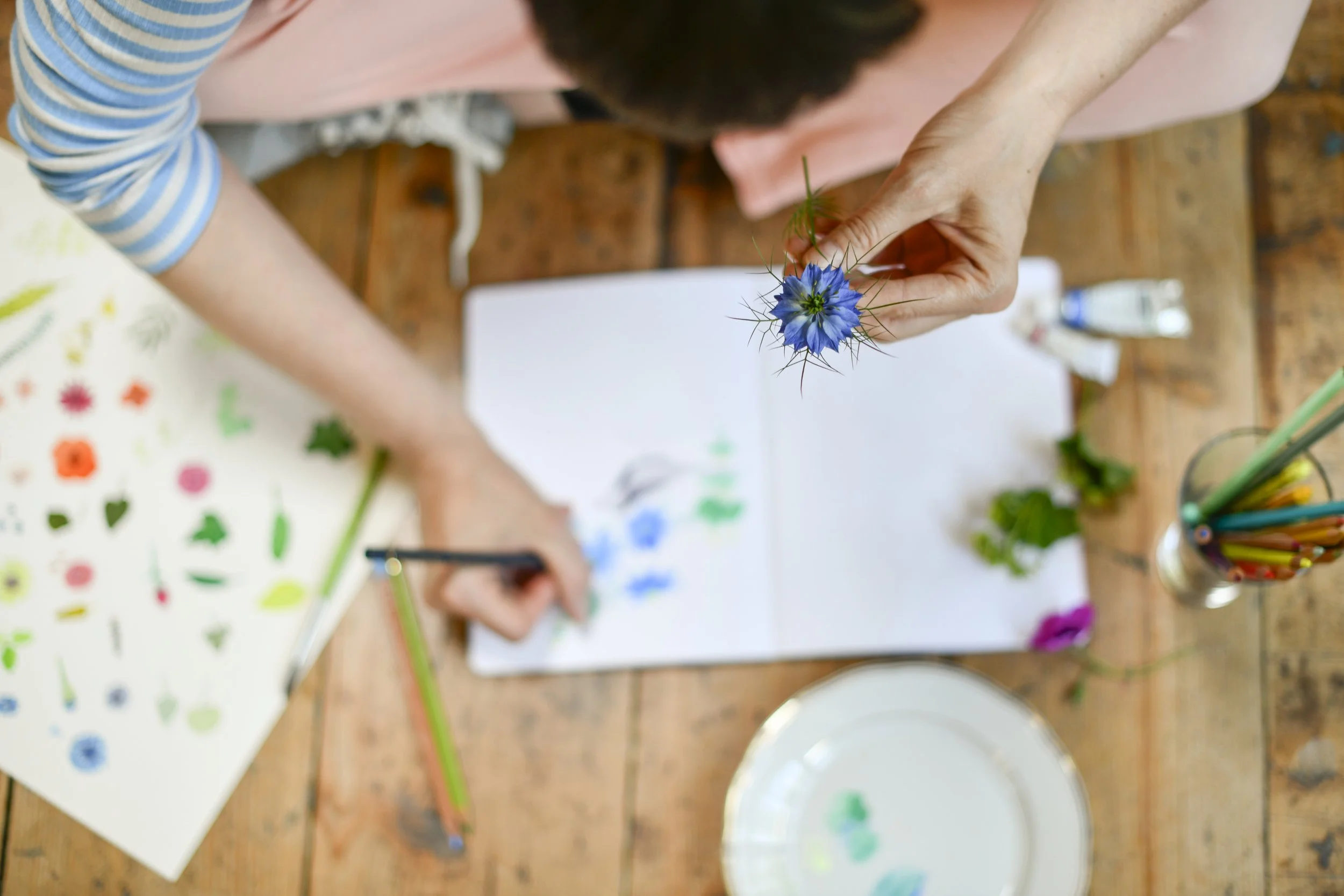 Person hält eine blaue Kornblume in der Hand, während sie an einem Skizzenbuch arbeitet. Der Tisch hat Buntstifte, Notizen mit Blumenmustern und eine leere weiße Platte.