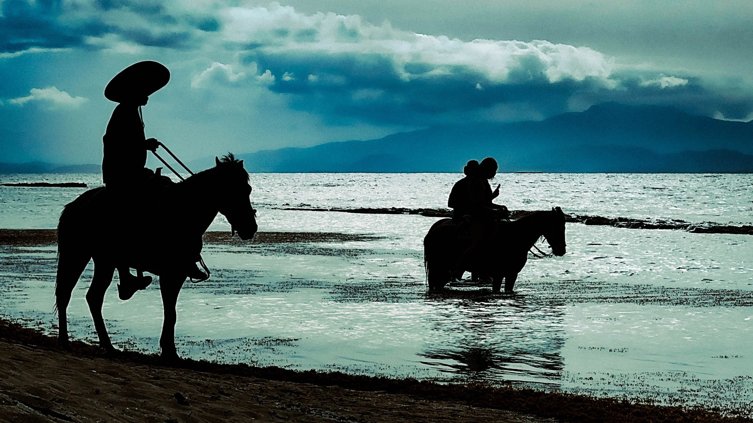 Caballero en vieques 2026.jpg