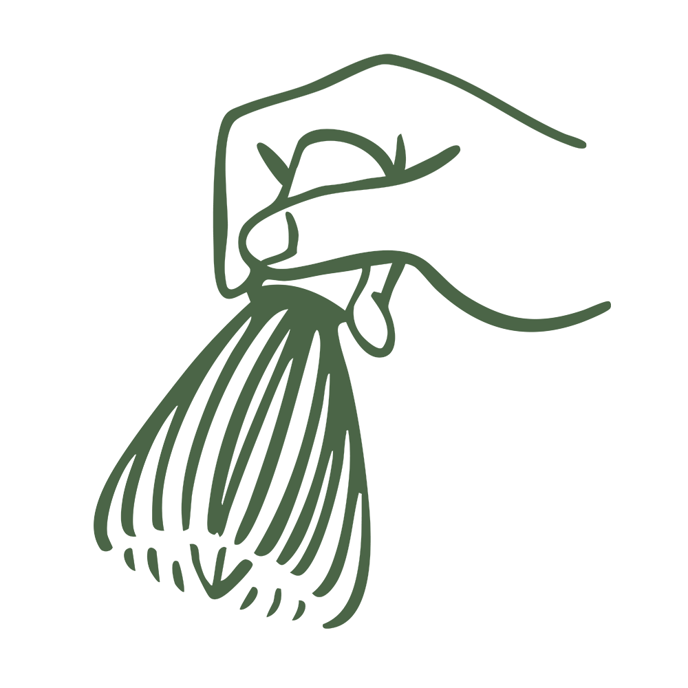 Miami Coffee Catering