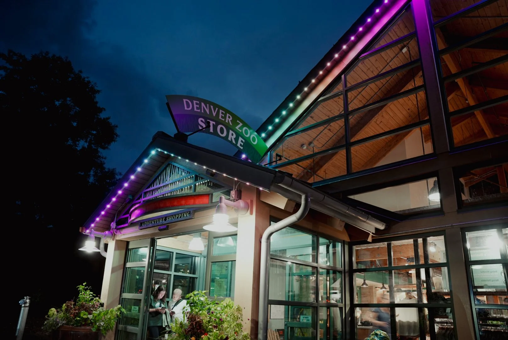 Night view of the Denver Zoo Store, a modern building with glass windows and wooden accents, illuminated by Jellyfish Lights, with some people inside and outside.