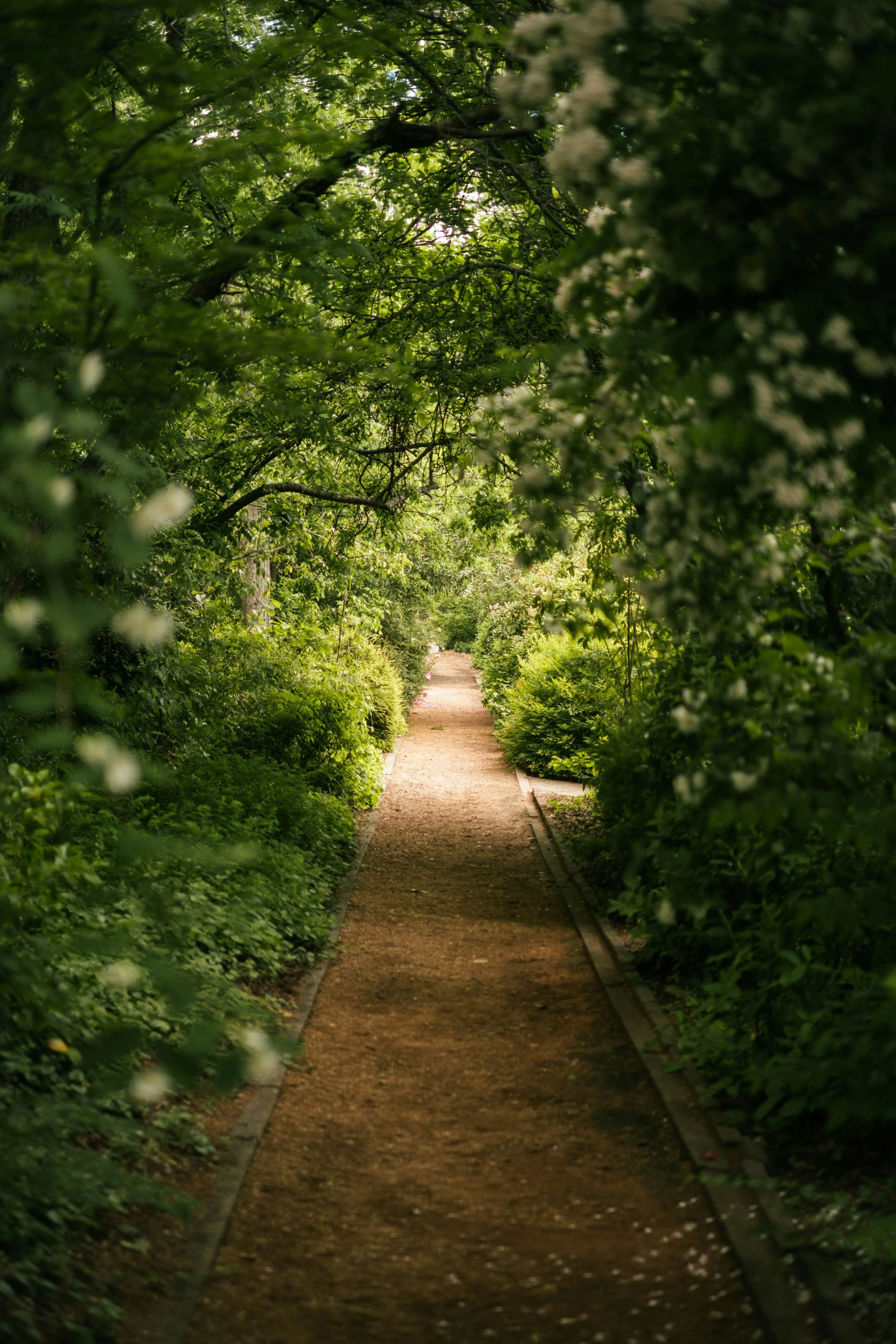 Counselling vs Psychotherapy: What’s the Difference?