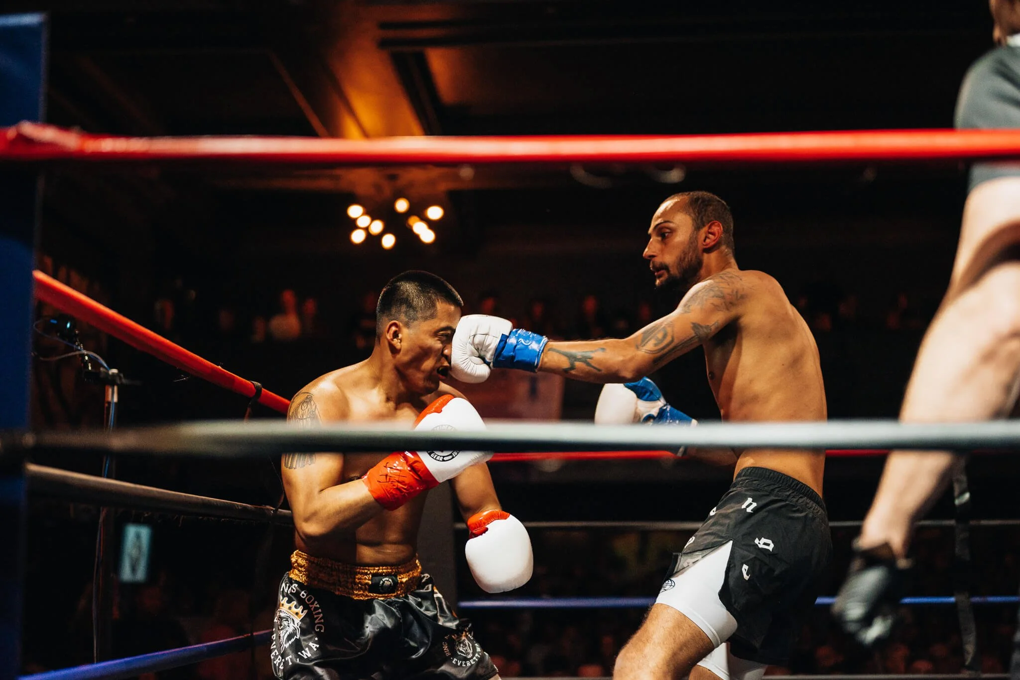 Two fighters exchange punches in the ring during a high-energy All City Fight Night bout.