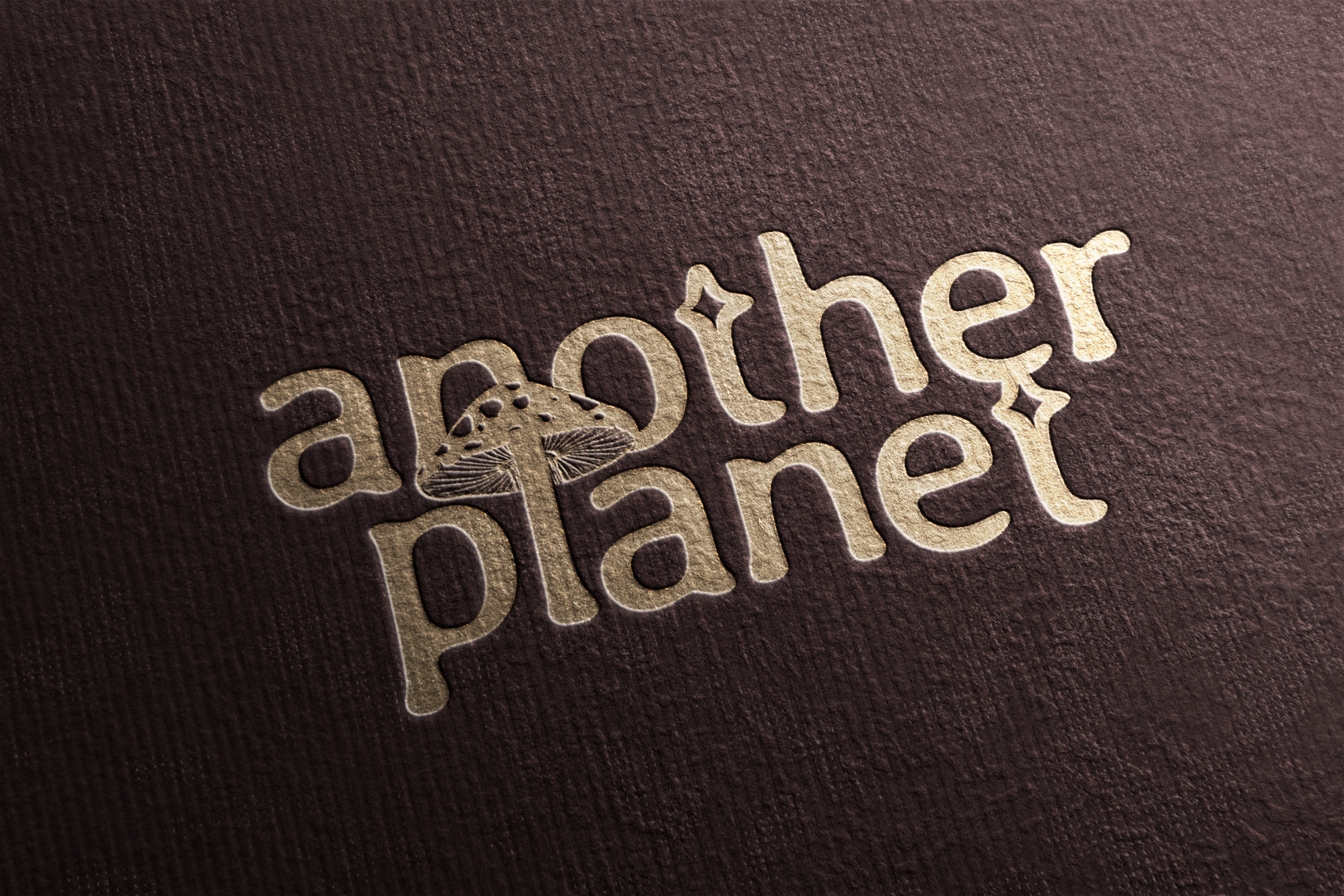 6275-logo mockup.png