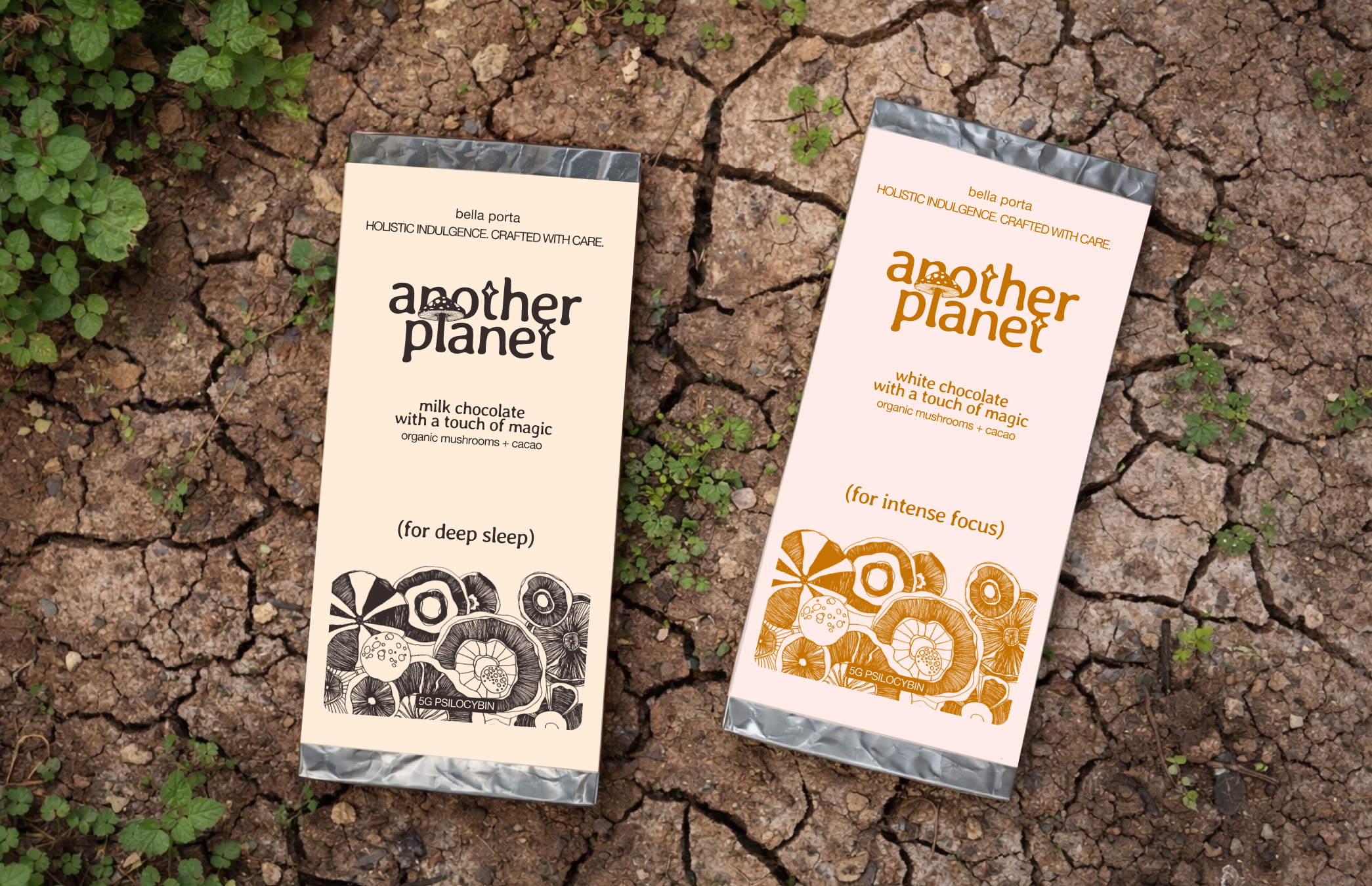 Instagram post - 19.png