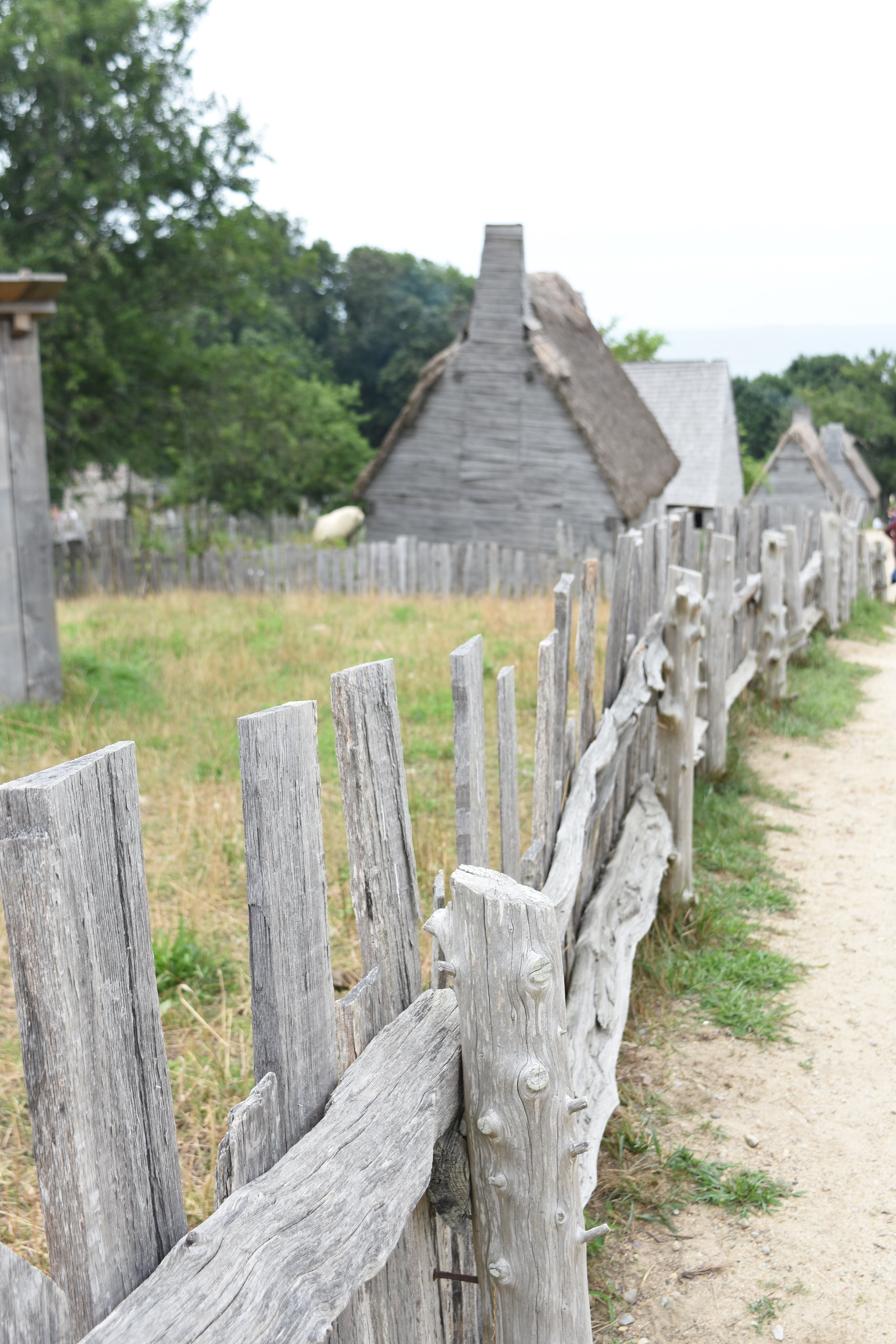 Old weathered wooden fence in the foreground with small gaps between the planks, leading towards rustic wooden houses with steep thatched roofs, set in a rural landscape with greenery and trees in the background.