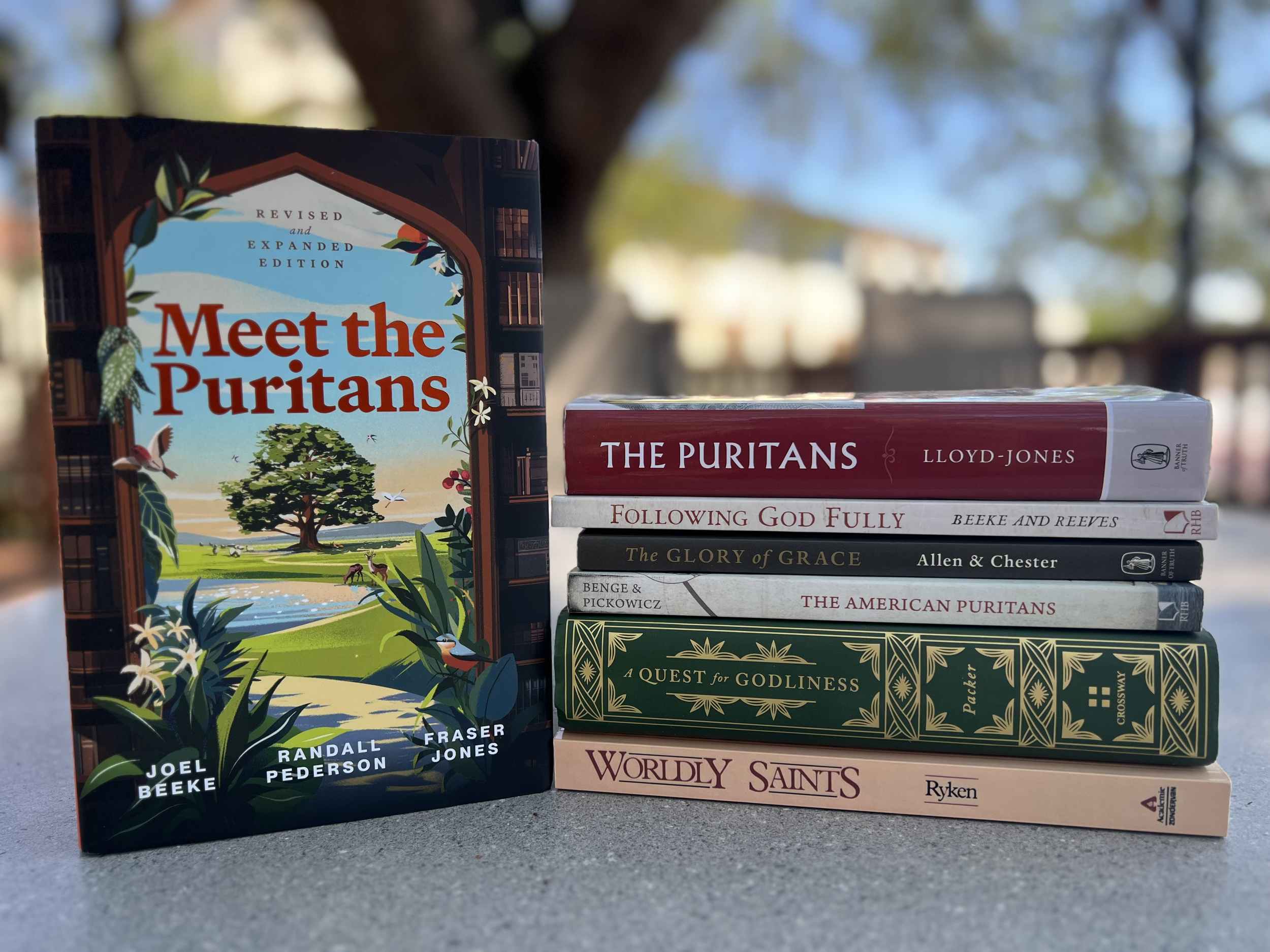 Top Books About the Puritans