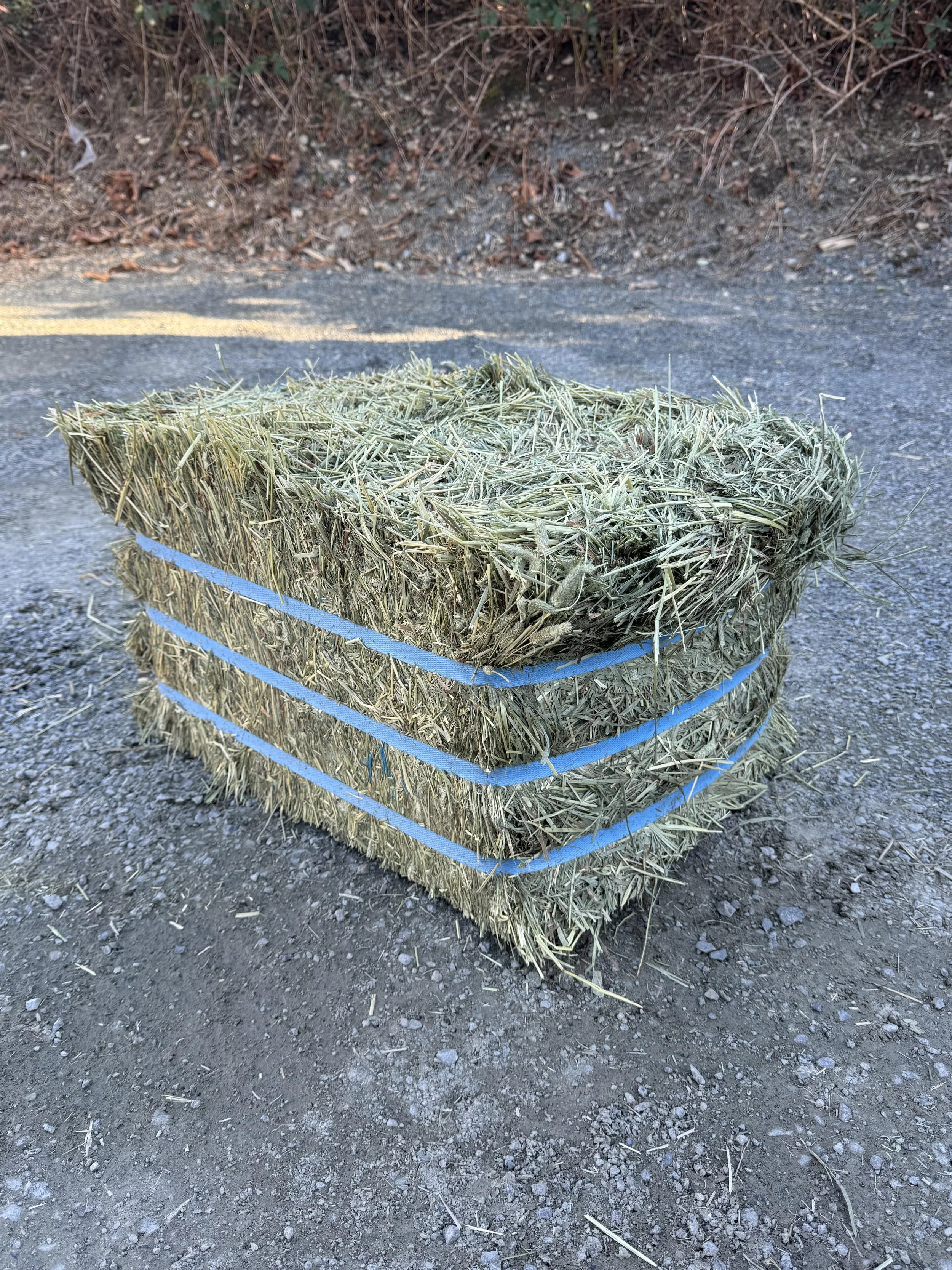 2nd cut compressed timothy heavier bale.jpg