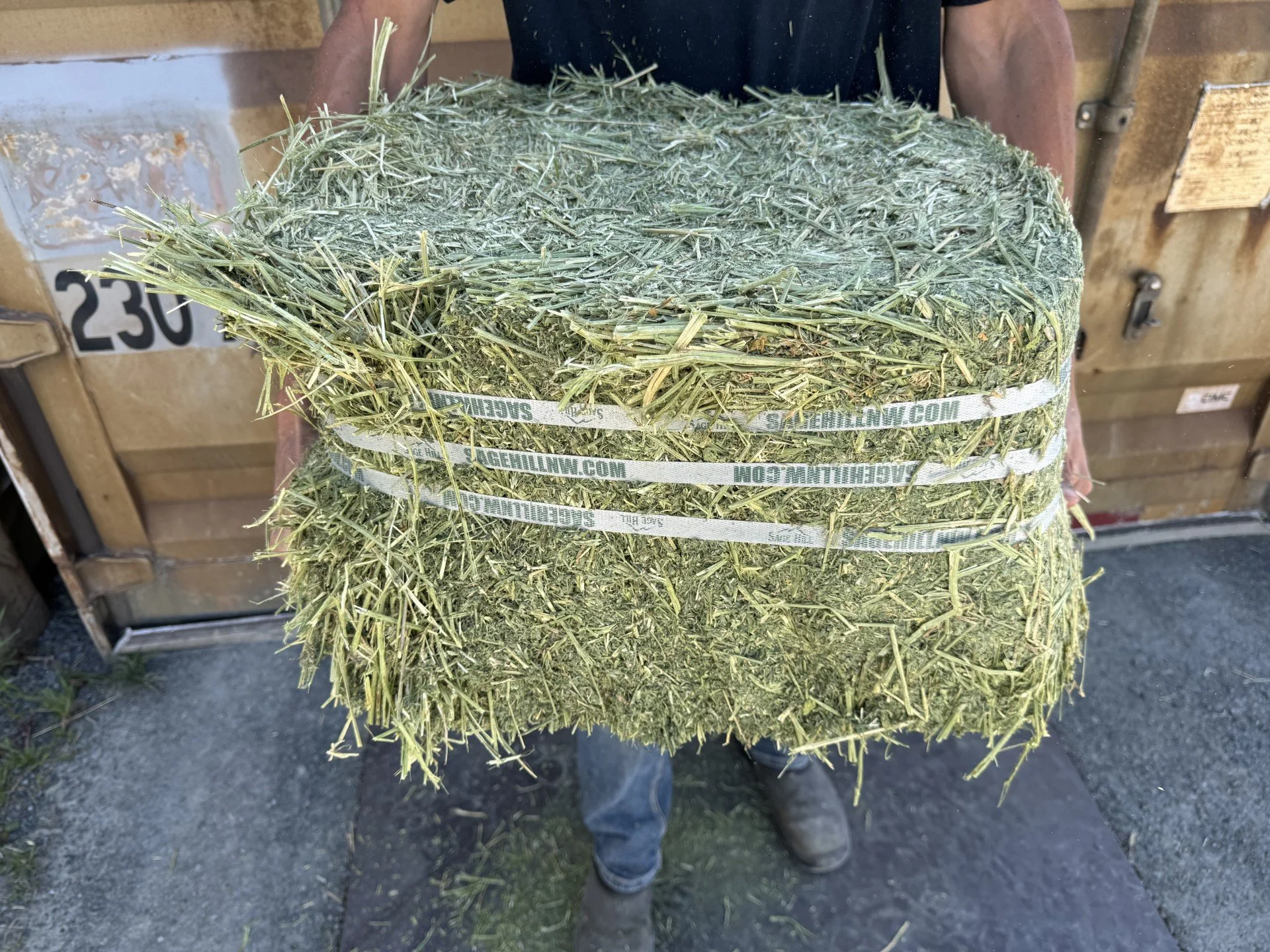 bale 2.jpeg