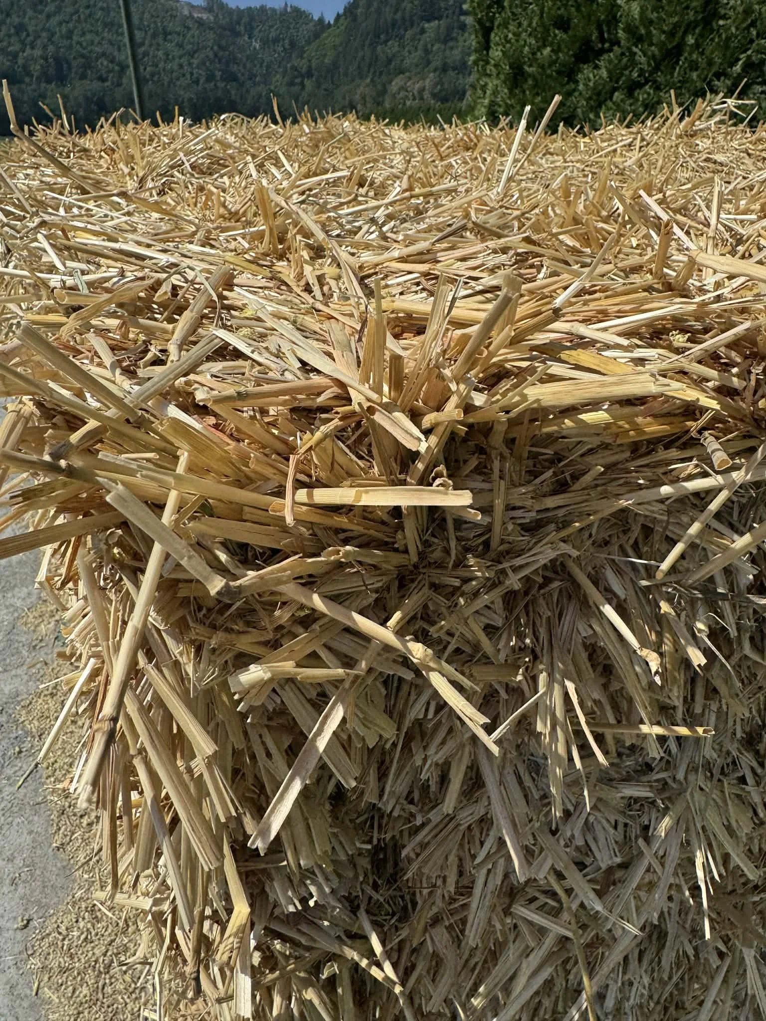 2 tie wheat straw texture.jpeg