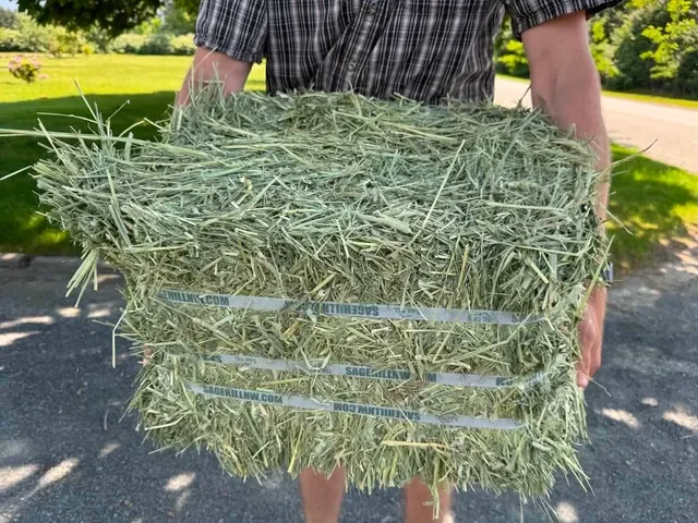 compressed 1st cut timothy bale.webp