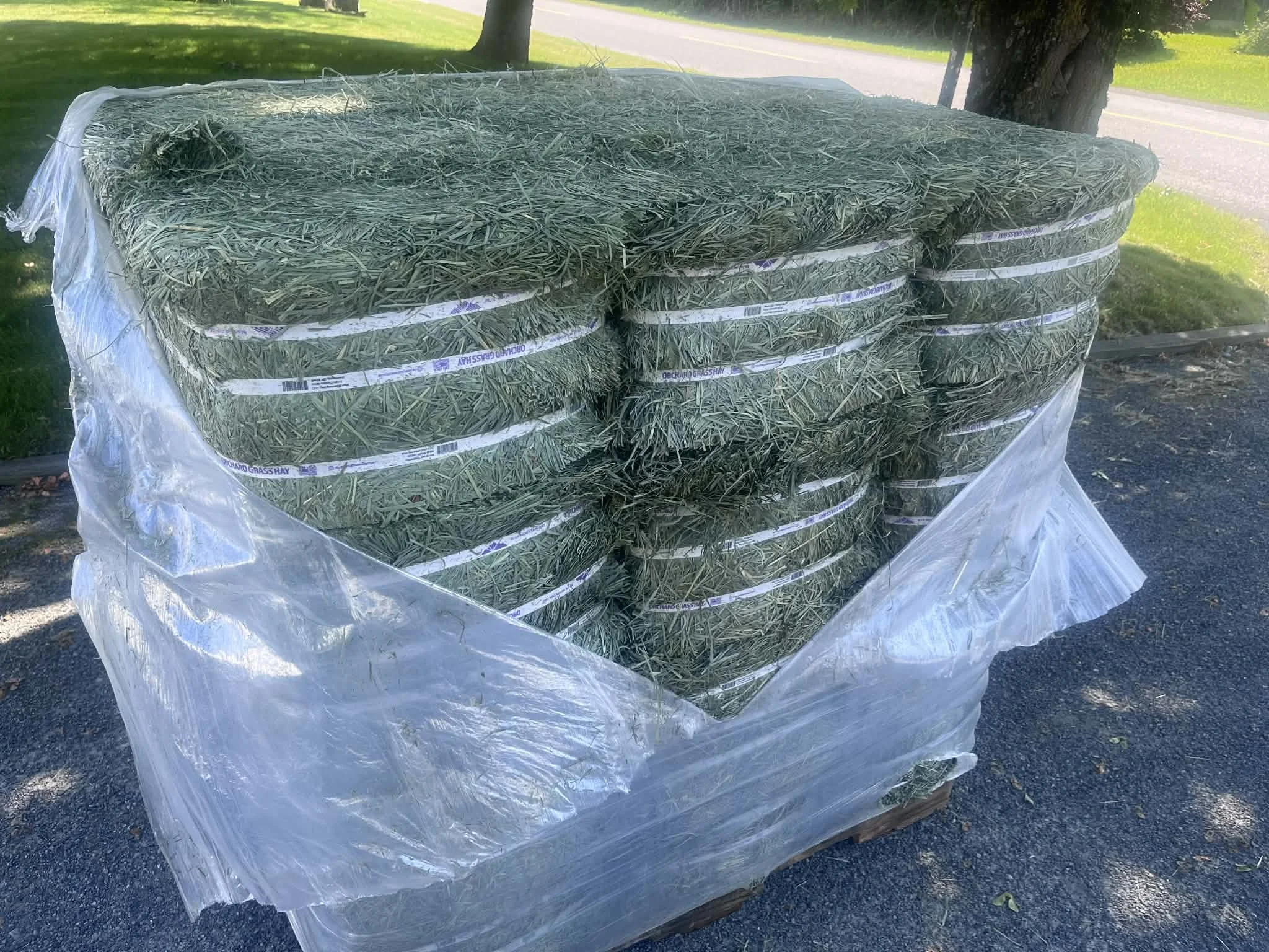 Compressed 2nd Cut Orchard Grass