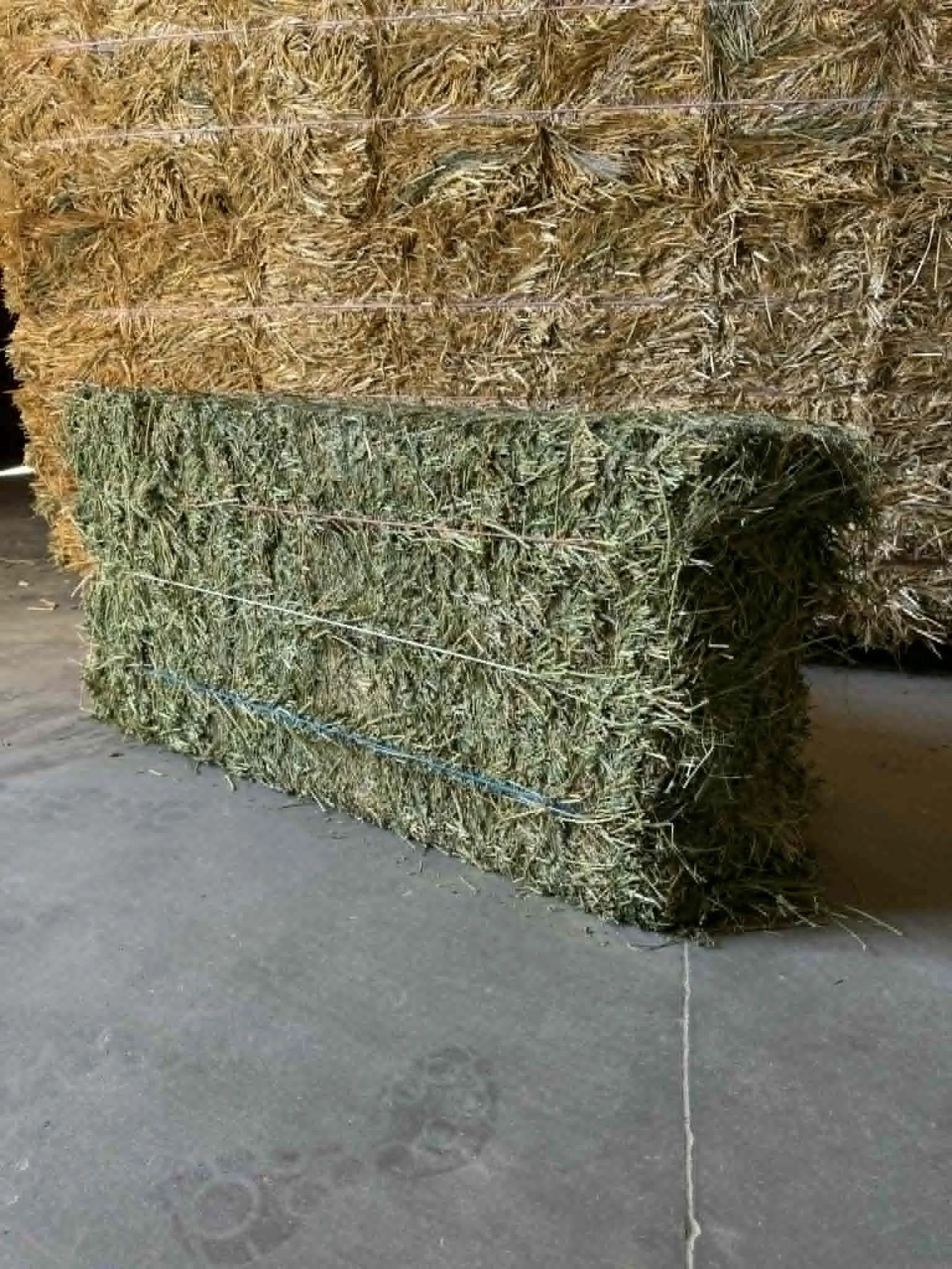 3 tie alfalfa bale .jpeg