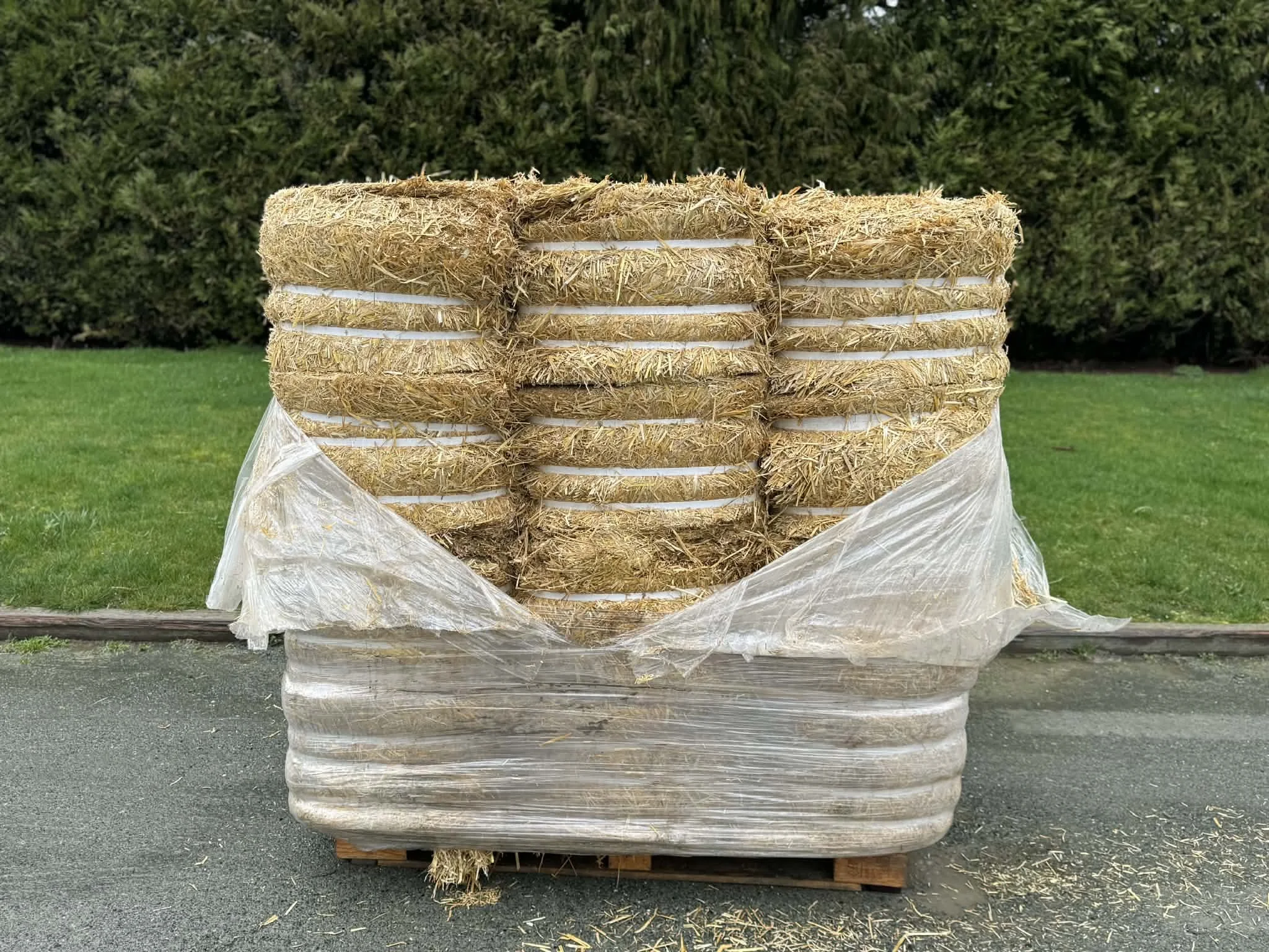 Compressed Wheat Straw