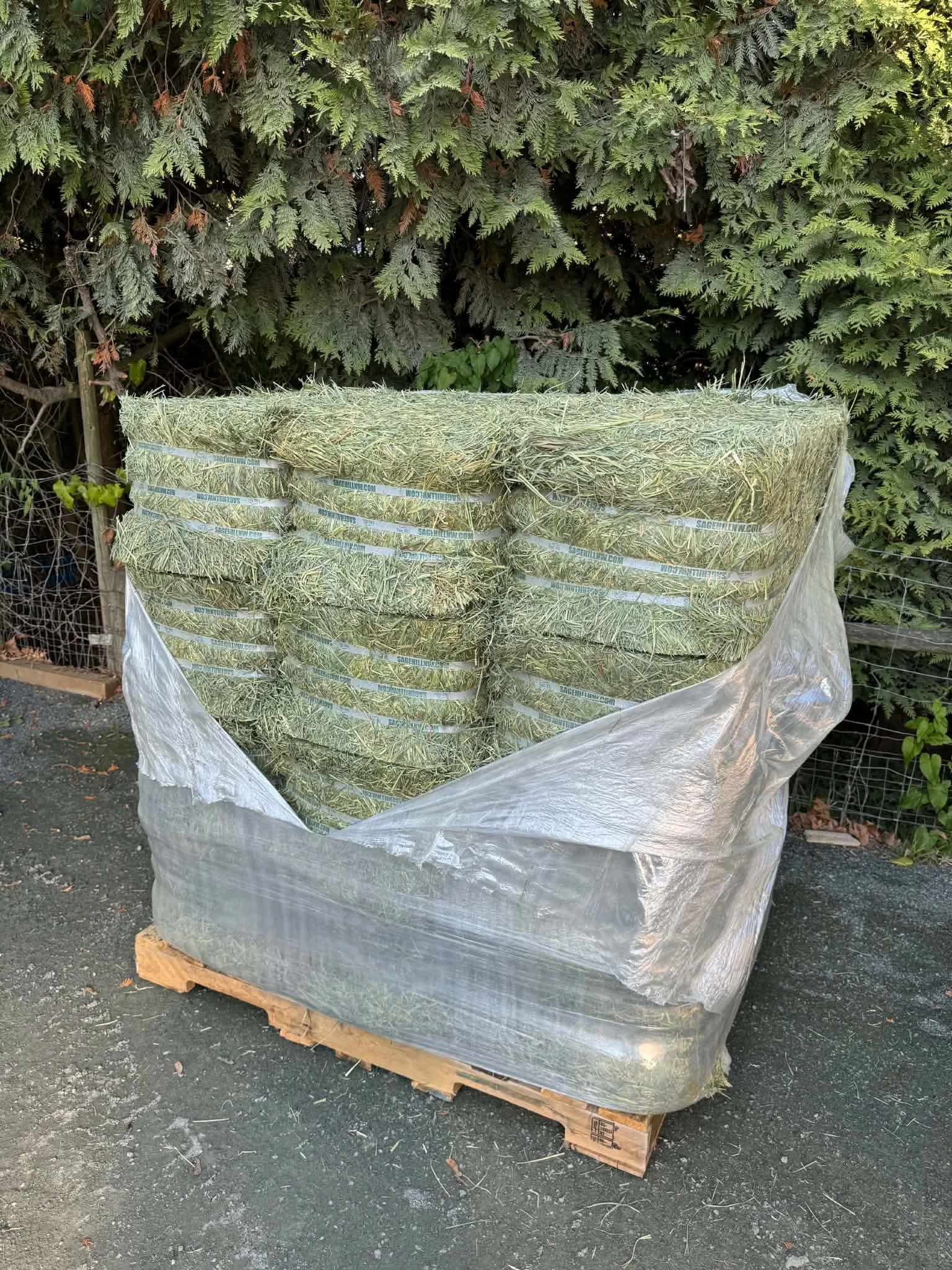 Compressed 2nd Cut Orchard Grass Alfalfa Mix (10-20% Alfalfa)