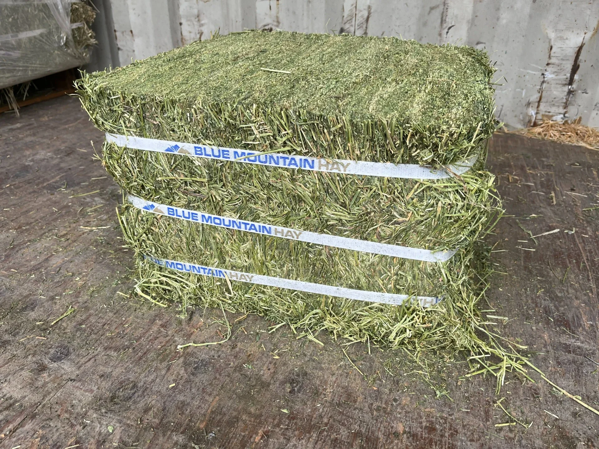 compressed alfalfa.webp