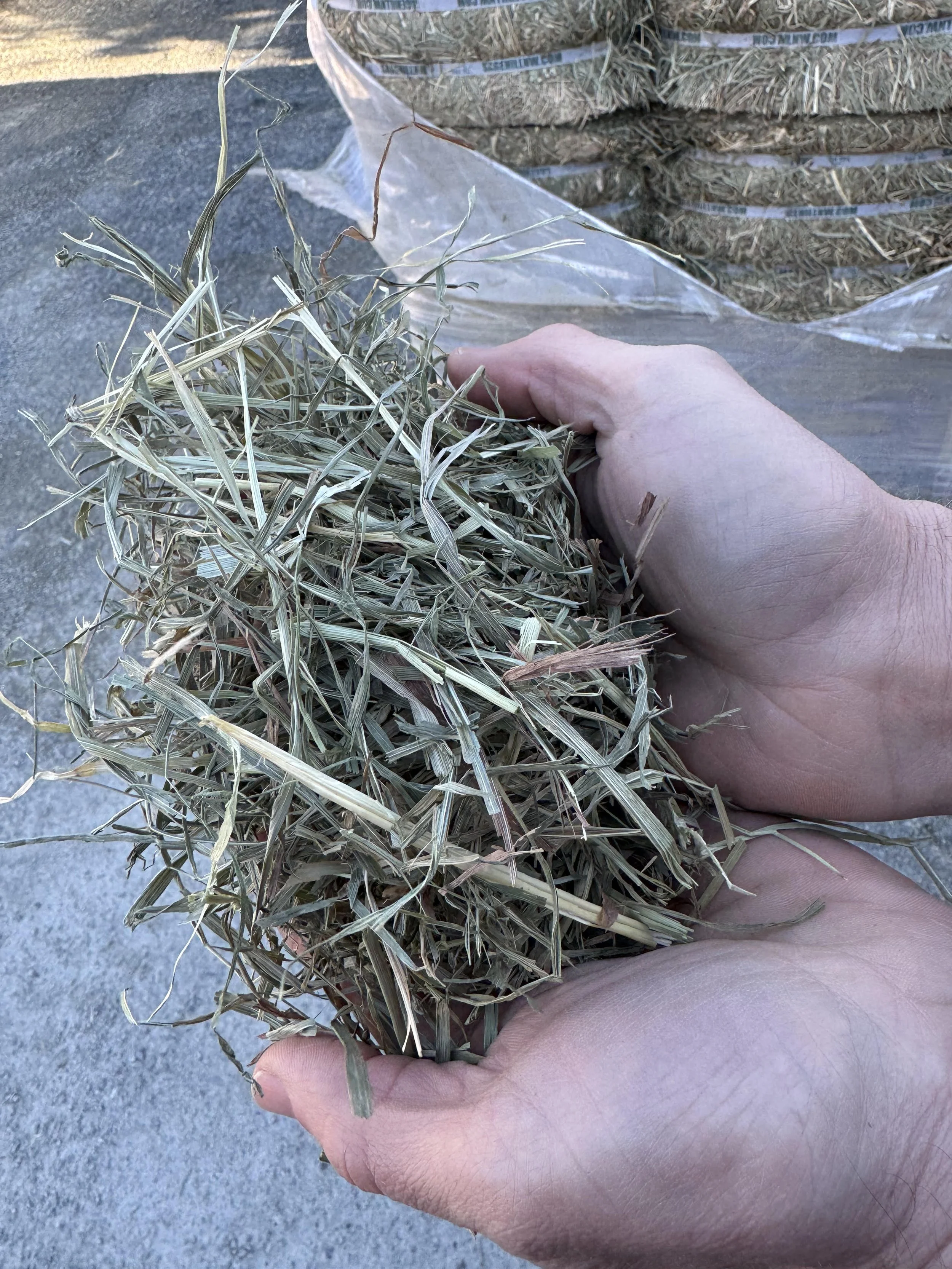 3rd cut compressed timothy single bale.jpg