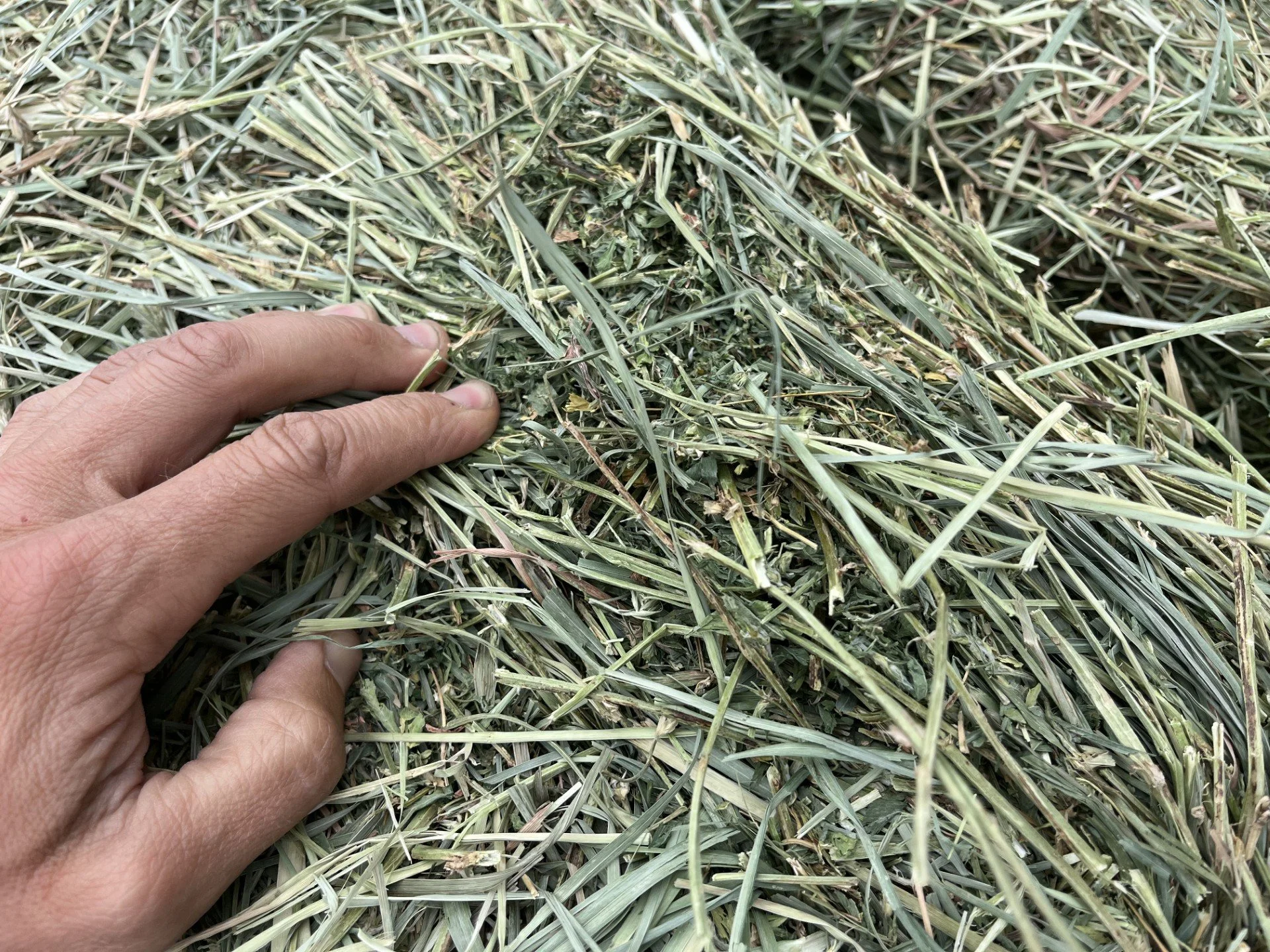 texture.jpeg