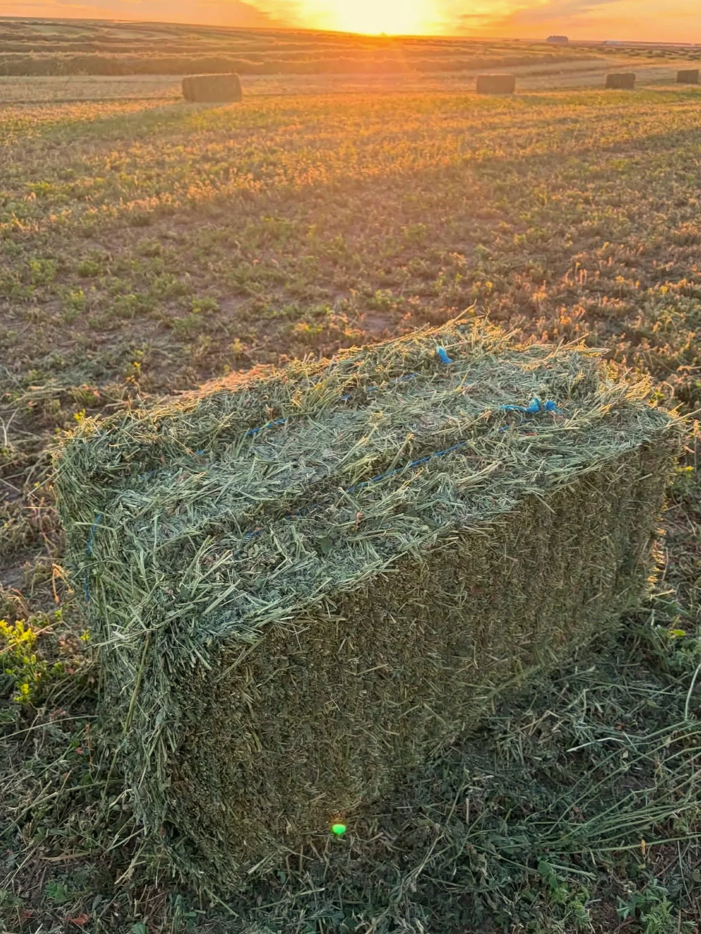 single+bale.jpg