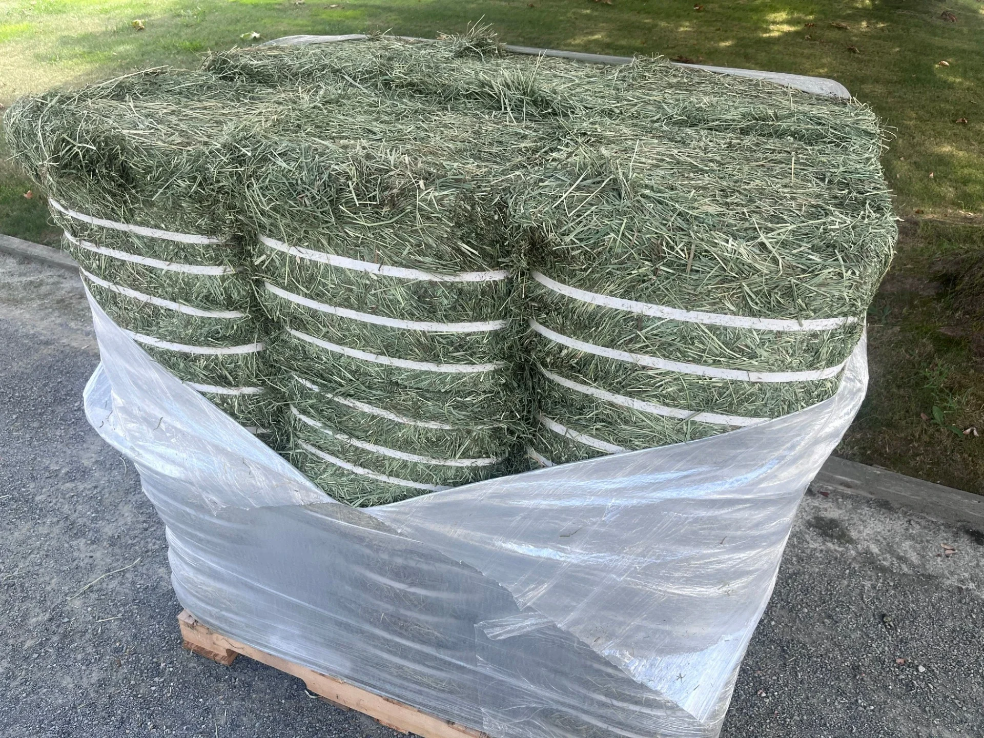 Compressed 2nd Cut Timothy (Lower Sugar)