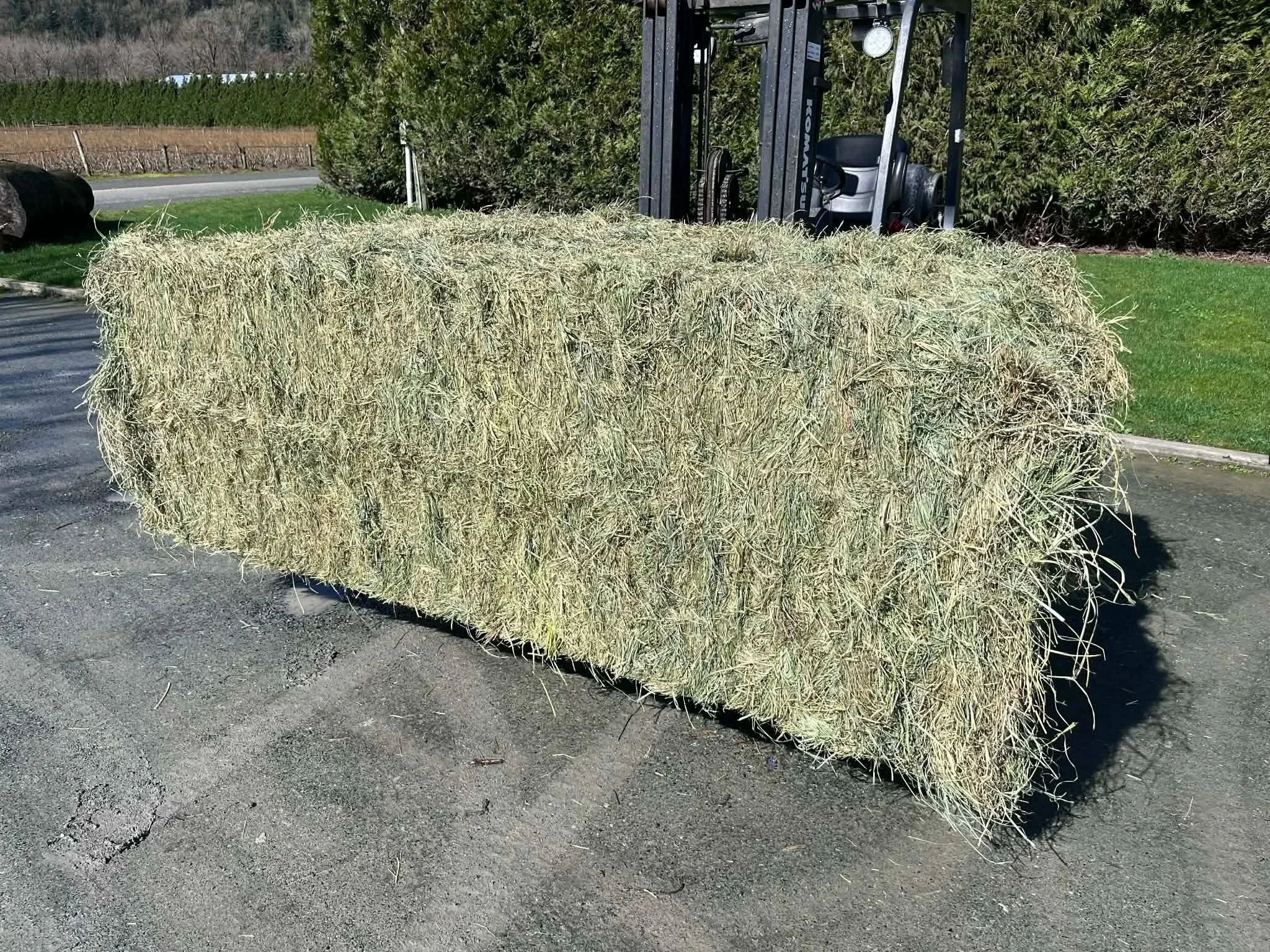 2nd Cut Orchard Grass/Alfalfa Mix  (50% Alfalfa)