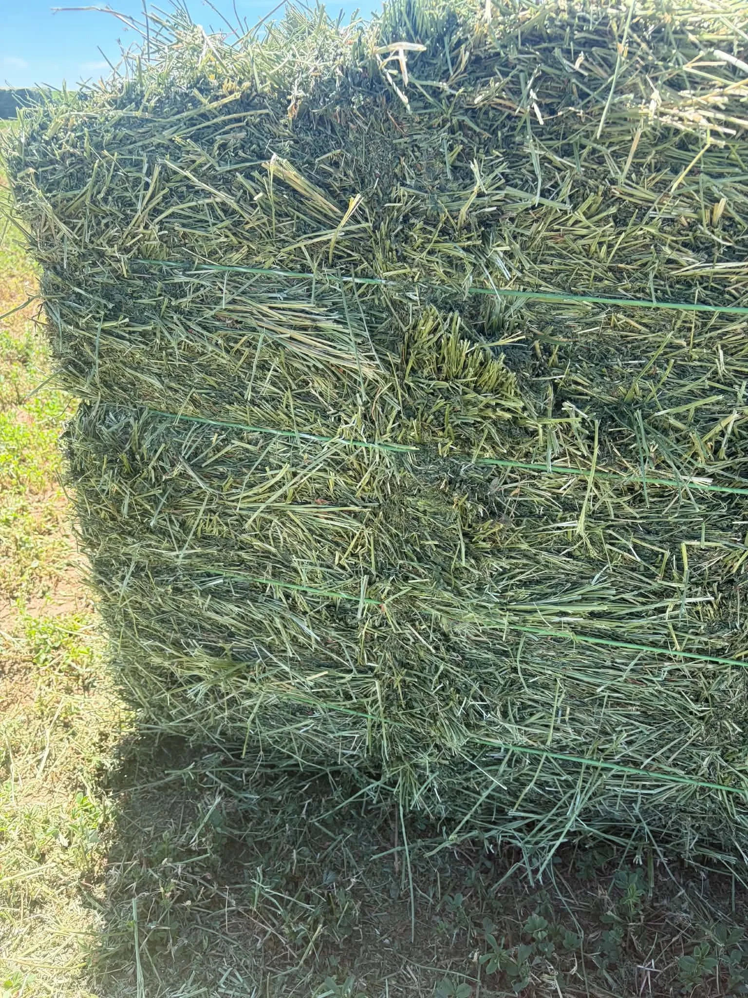 side of bundle.jpeg