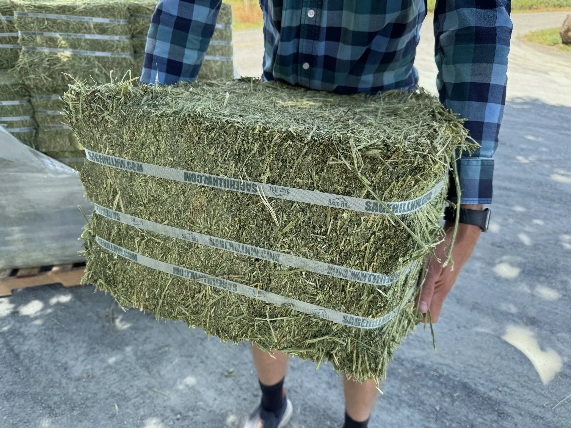 compressed+1st+cut+alfalfa+bale.jpg