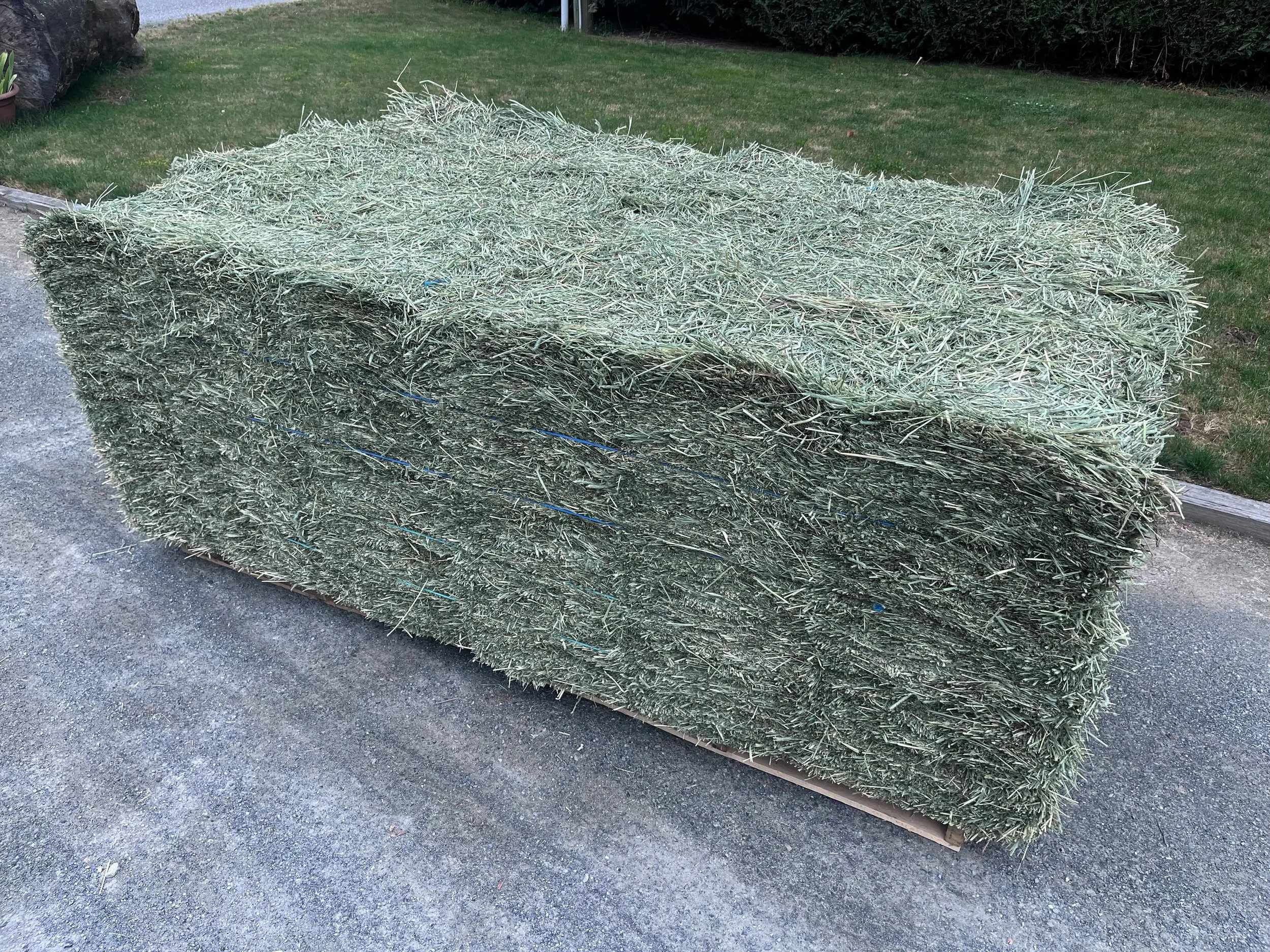 1st Cut Timothy  -  2-Tie