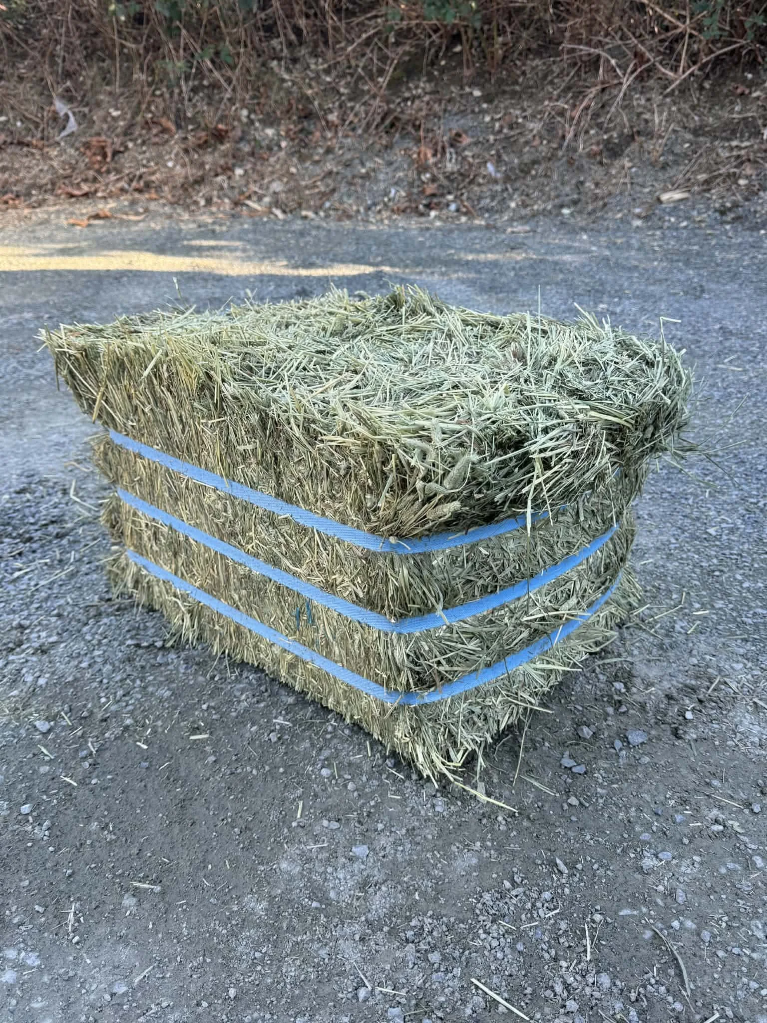 2nc cut bale timothy.jpg