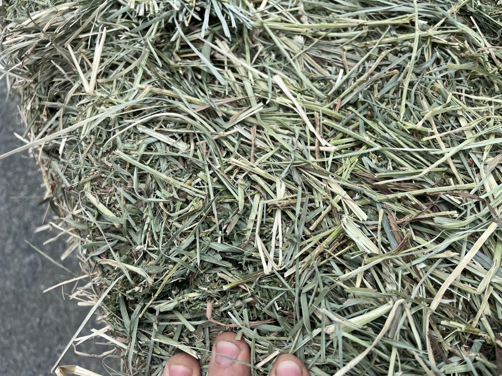 texture 2.jpeg