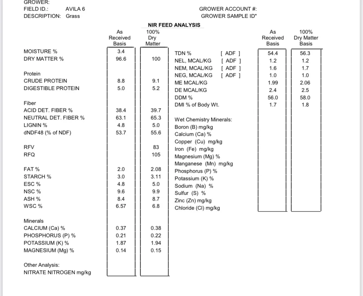 Screenshot 2025-06-20 at 3.35.32 PM (1).webp