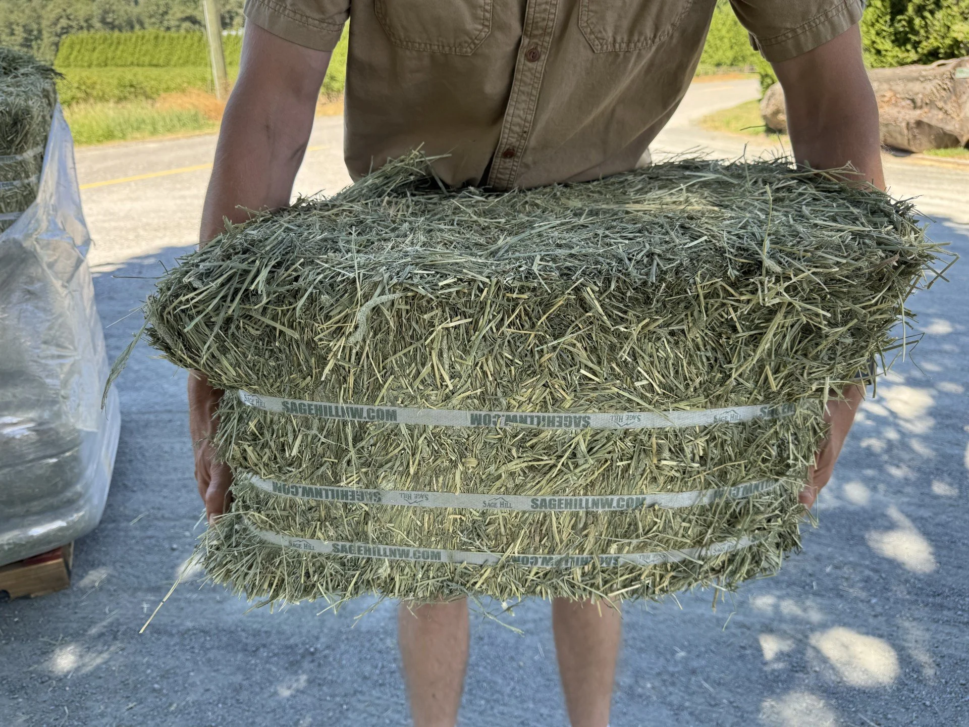 2nd cut timothy lower sugar bale june 2026.jpeg