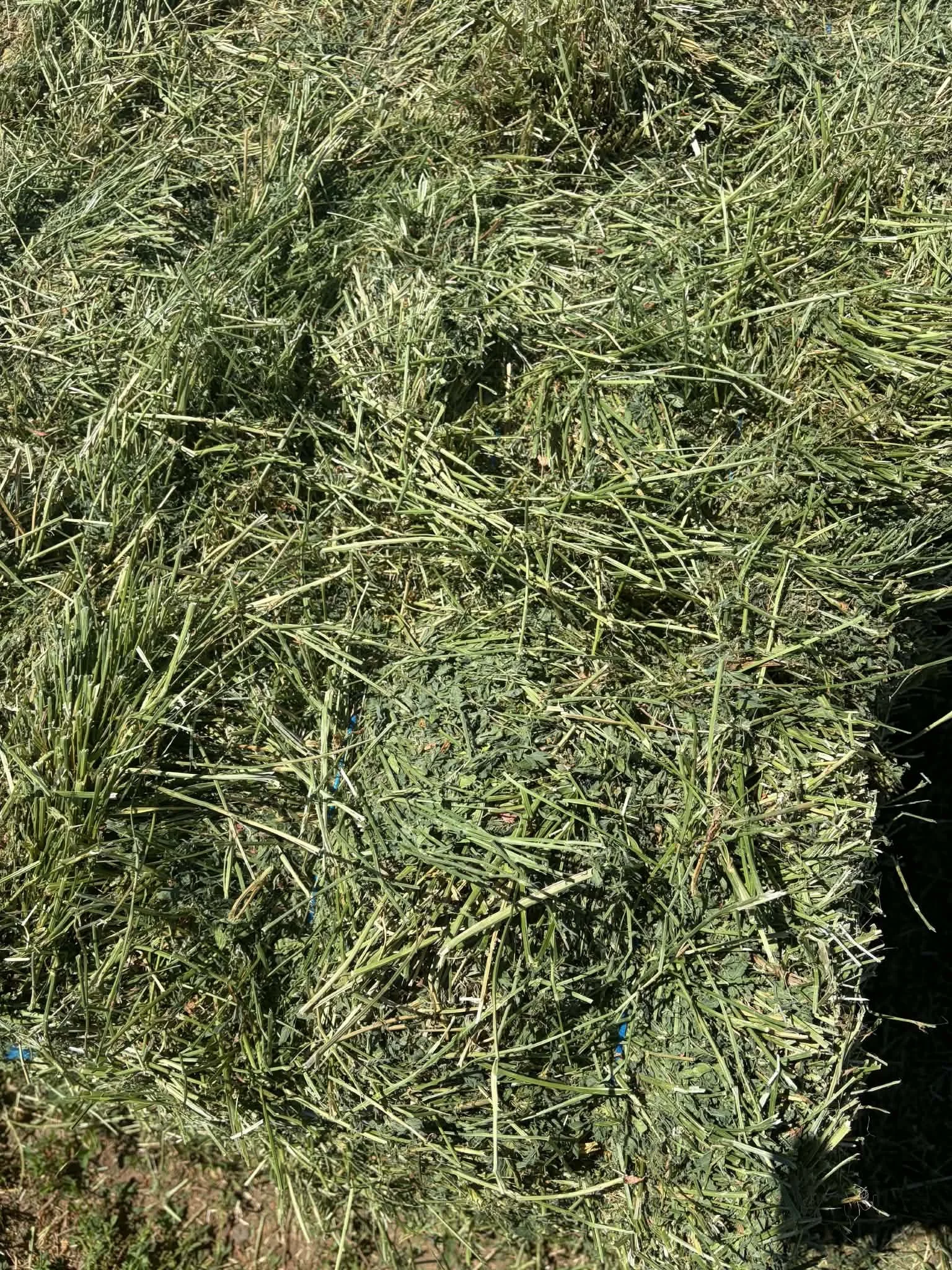 texture.jpeg
