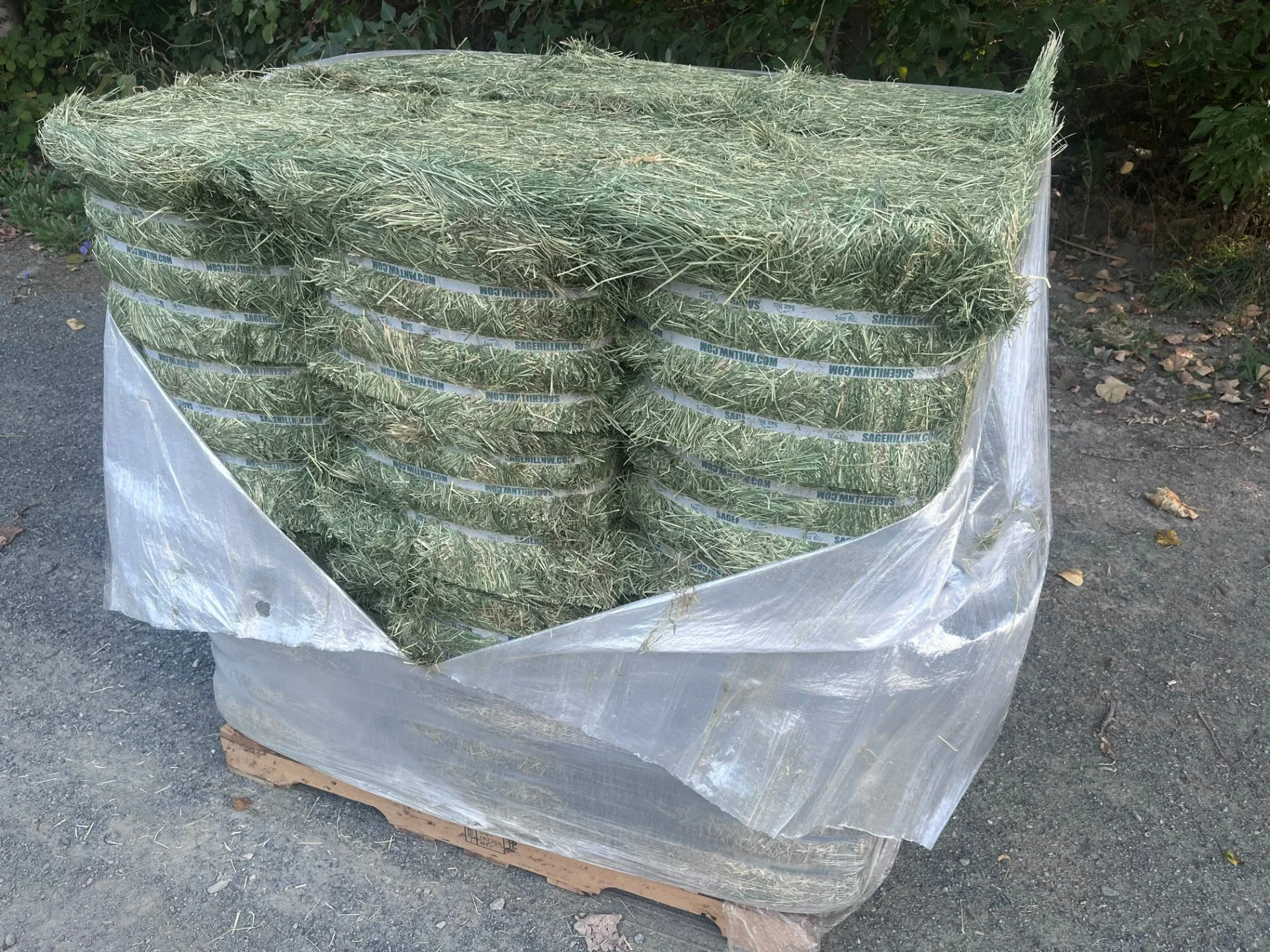 Sage Hill Teff Skid Shot-1.webp