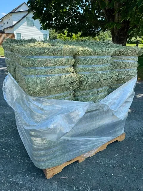 Compressed 1st Cut Timothy