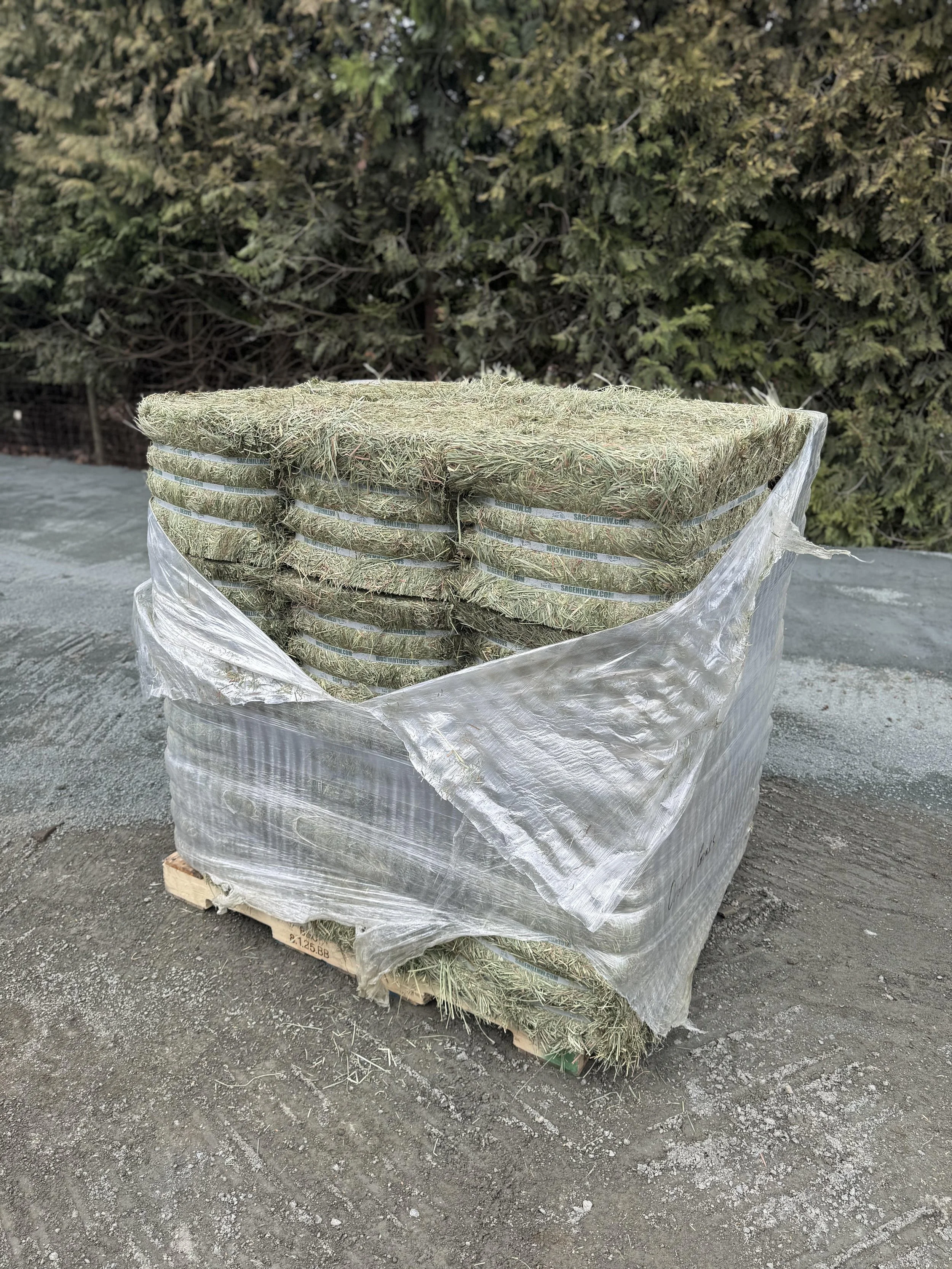 Compressed 2nd Cut Orchard Grass